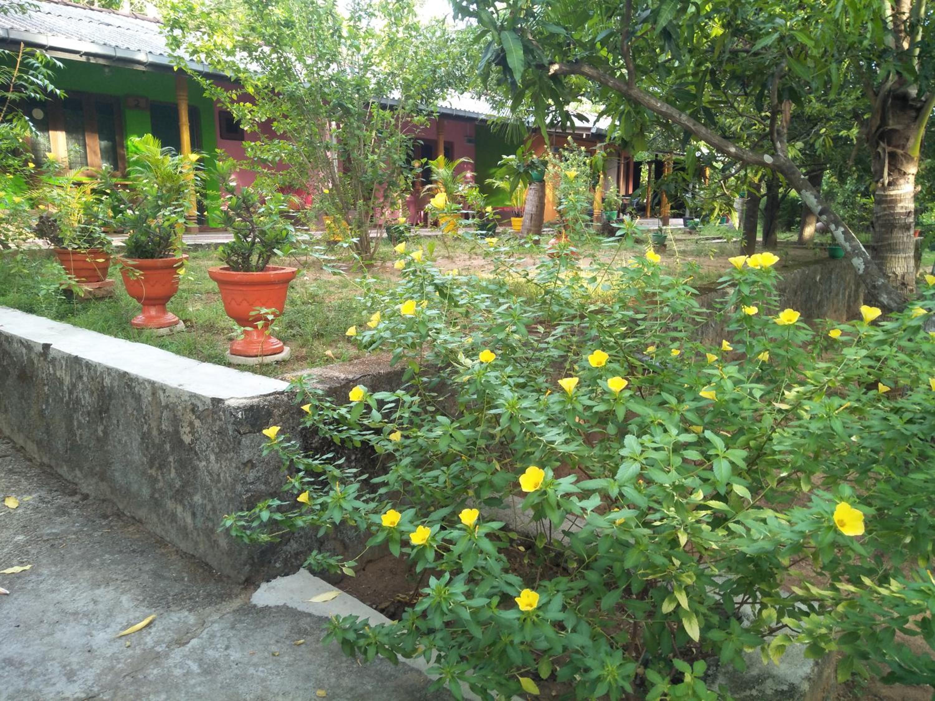 Photo 17