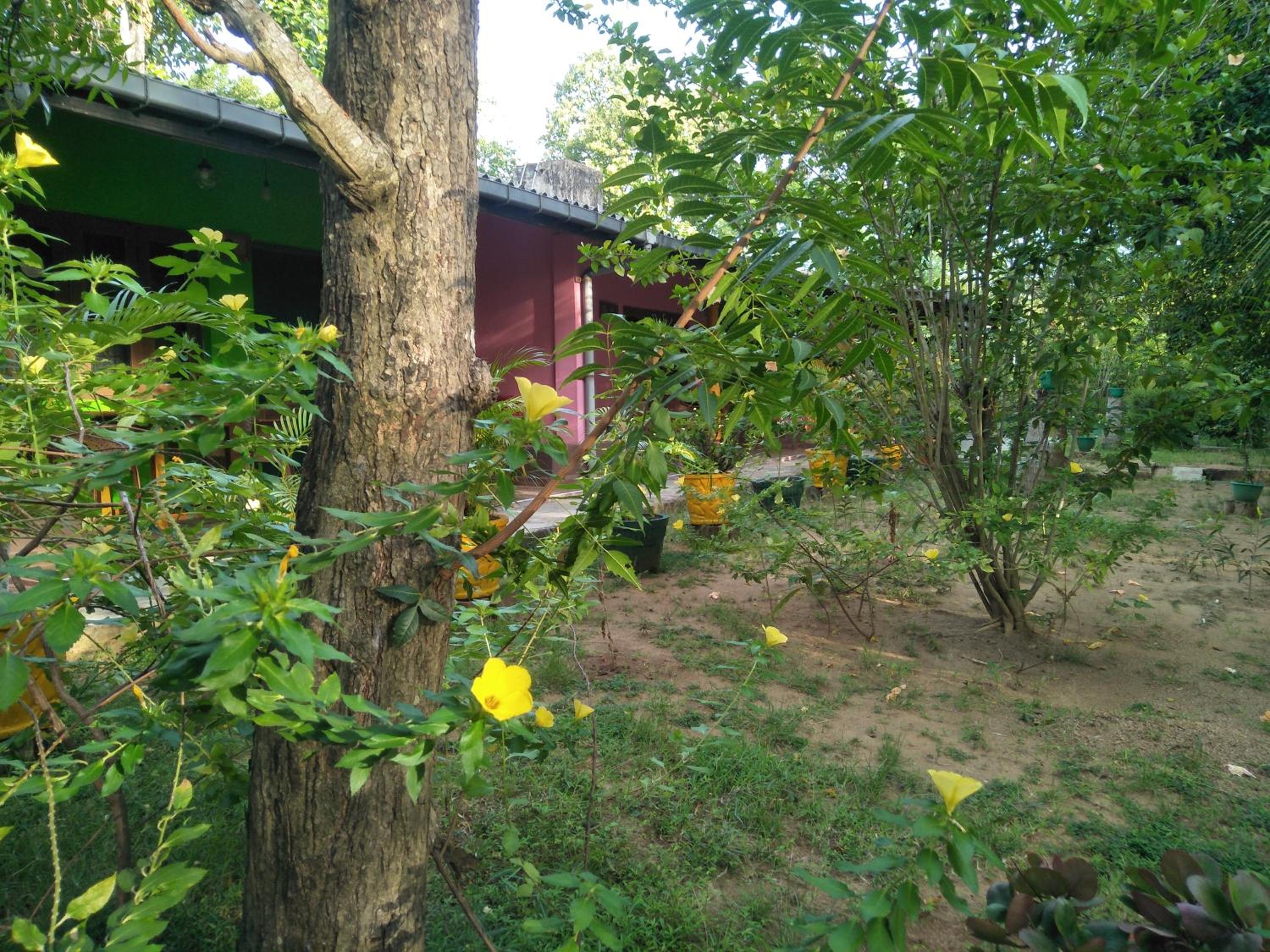Photo 18