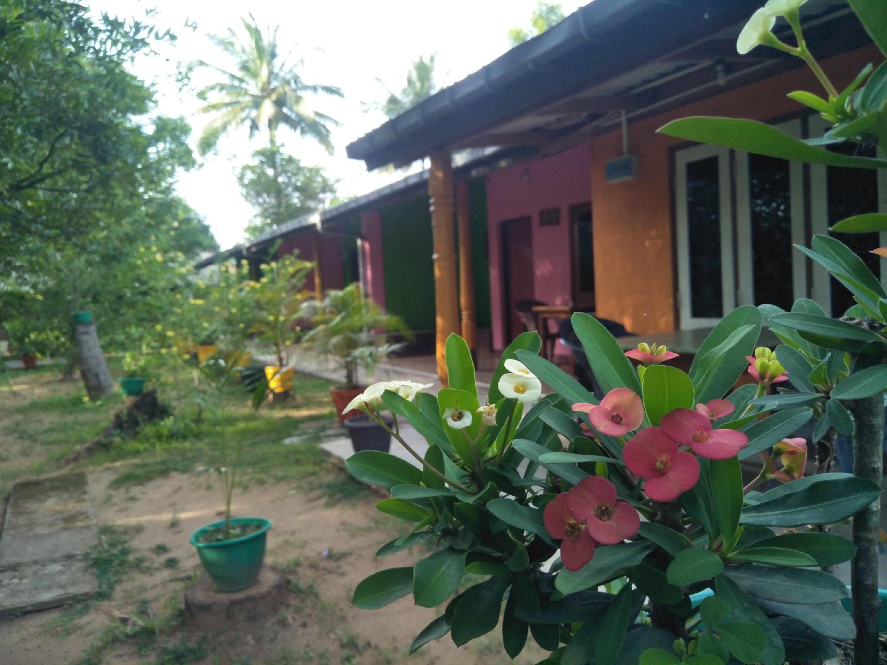 Photo 20