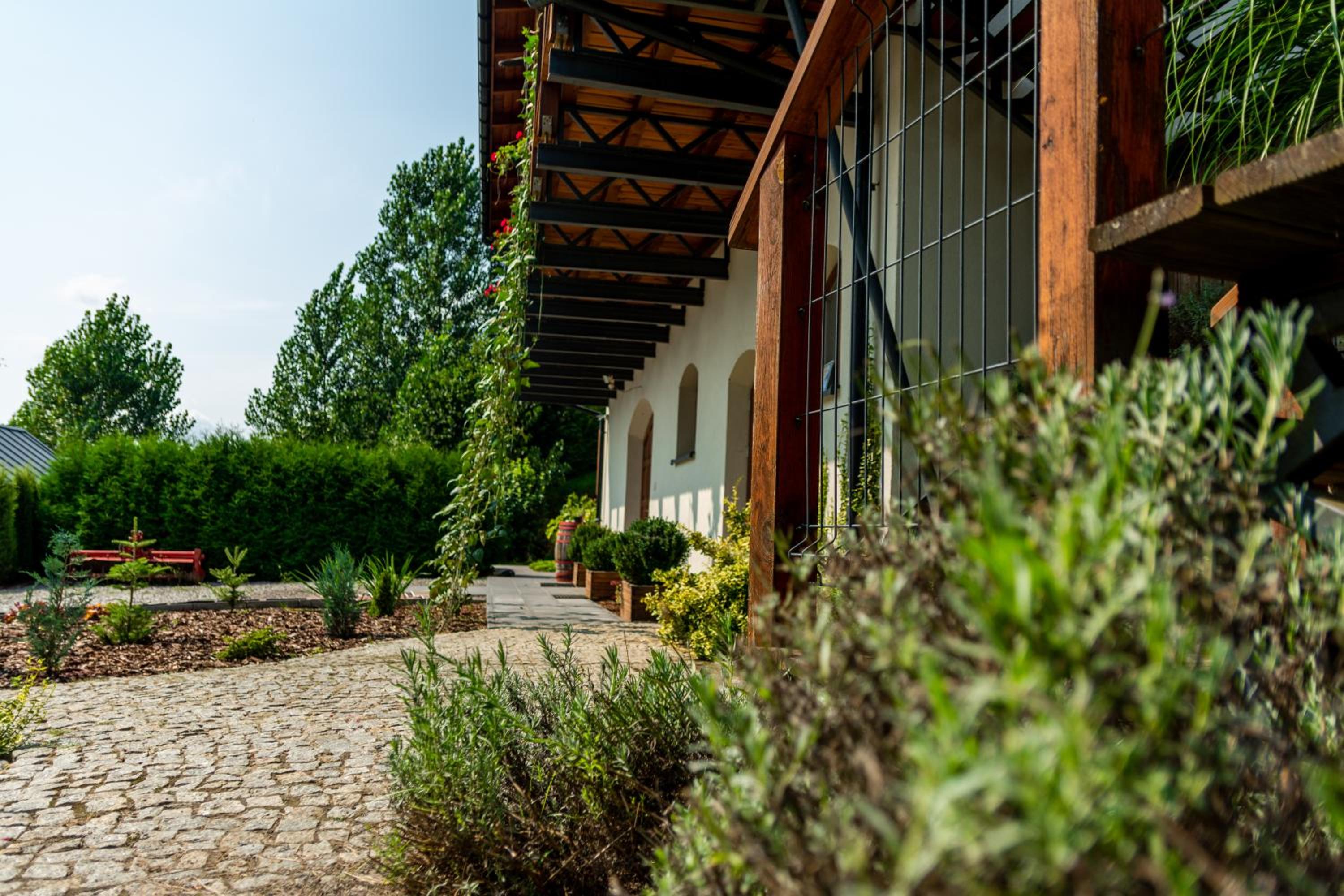 Winnica Płochockich Country House view 4