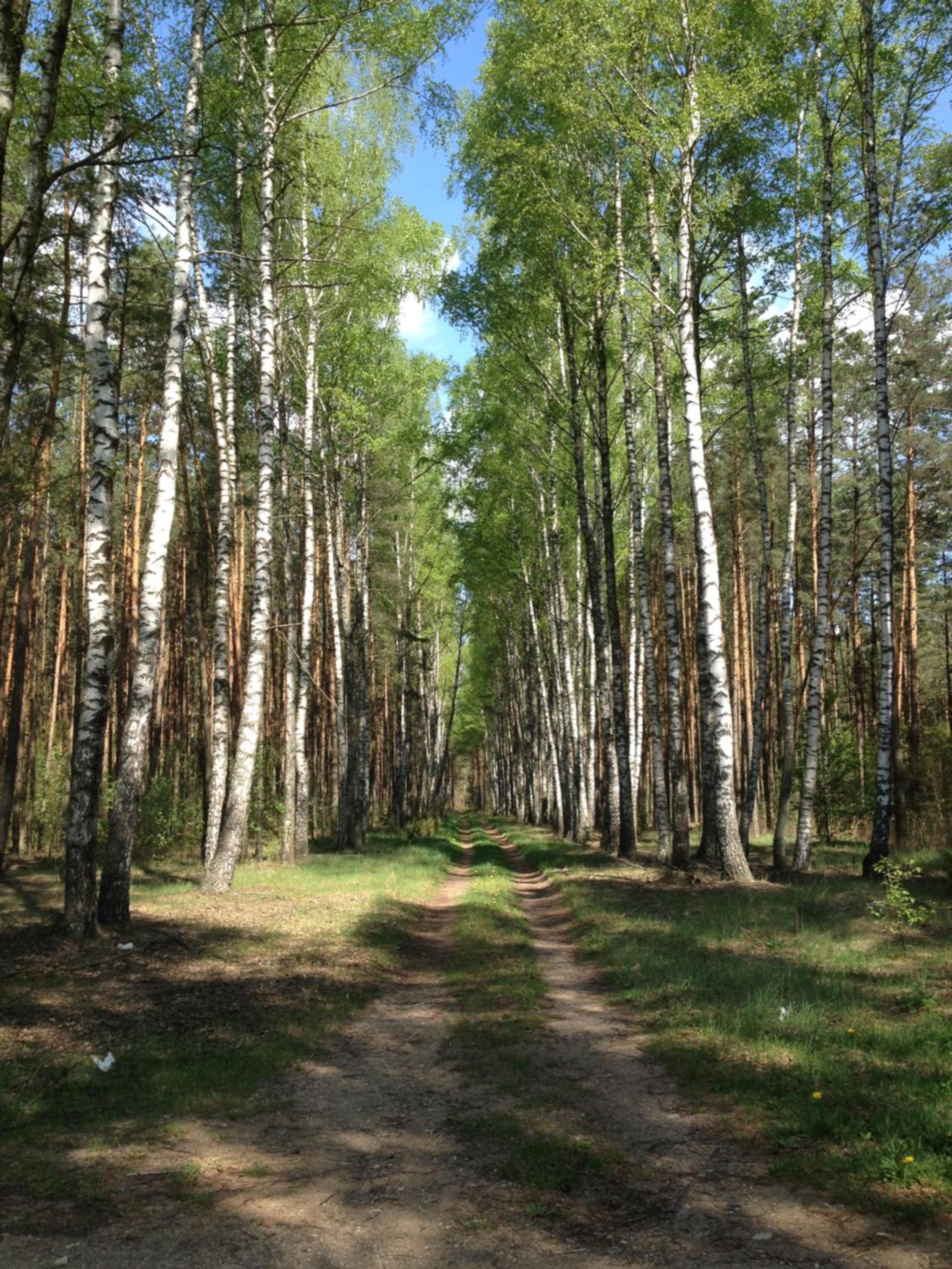 Dolcevita Podlasie view 5