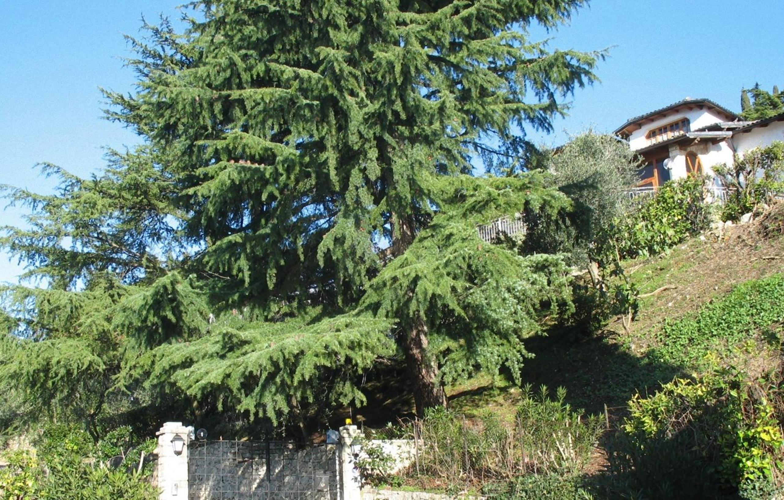 Villa Margiò