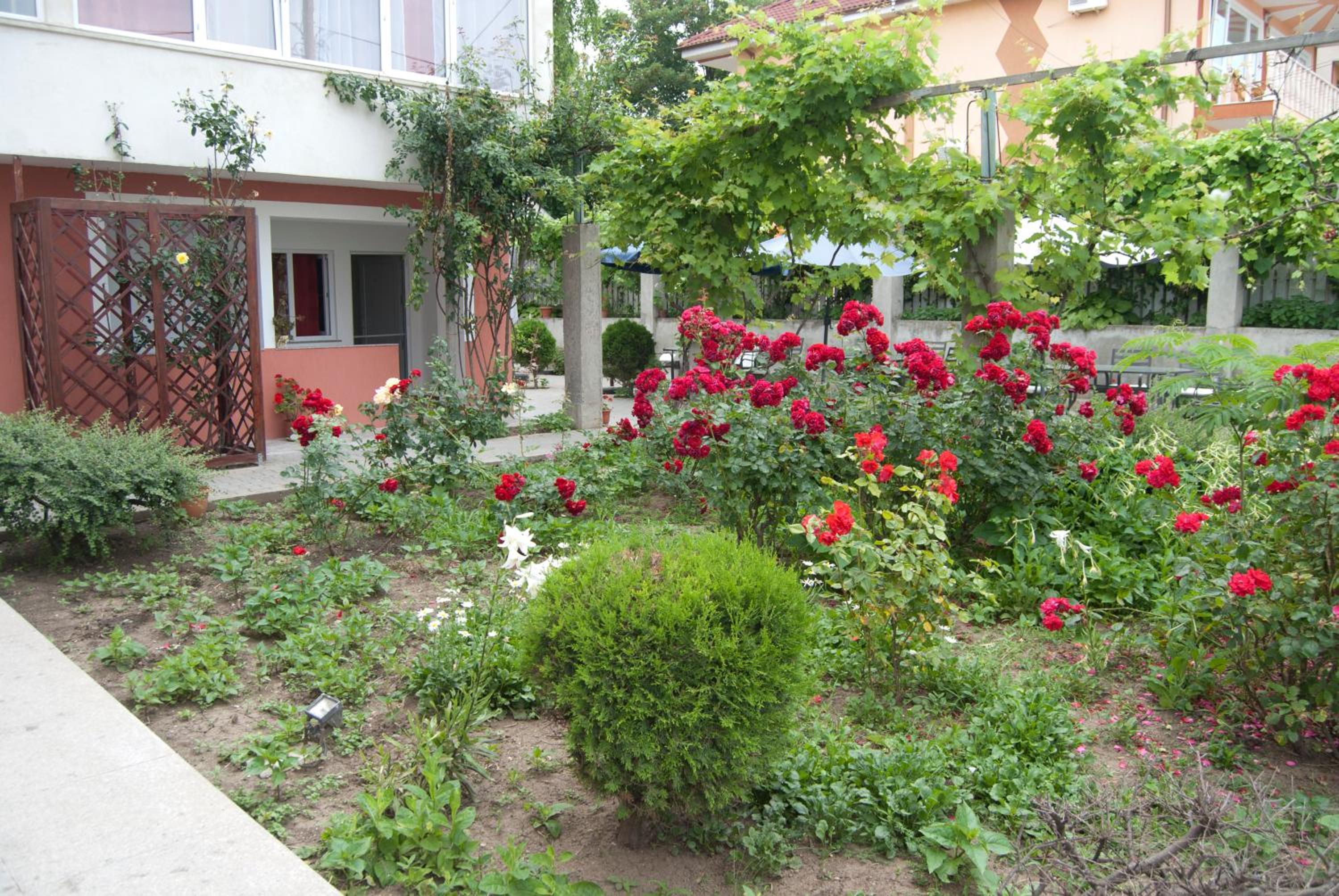 garden
