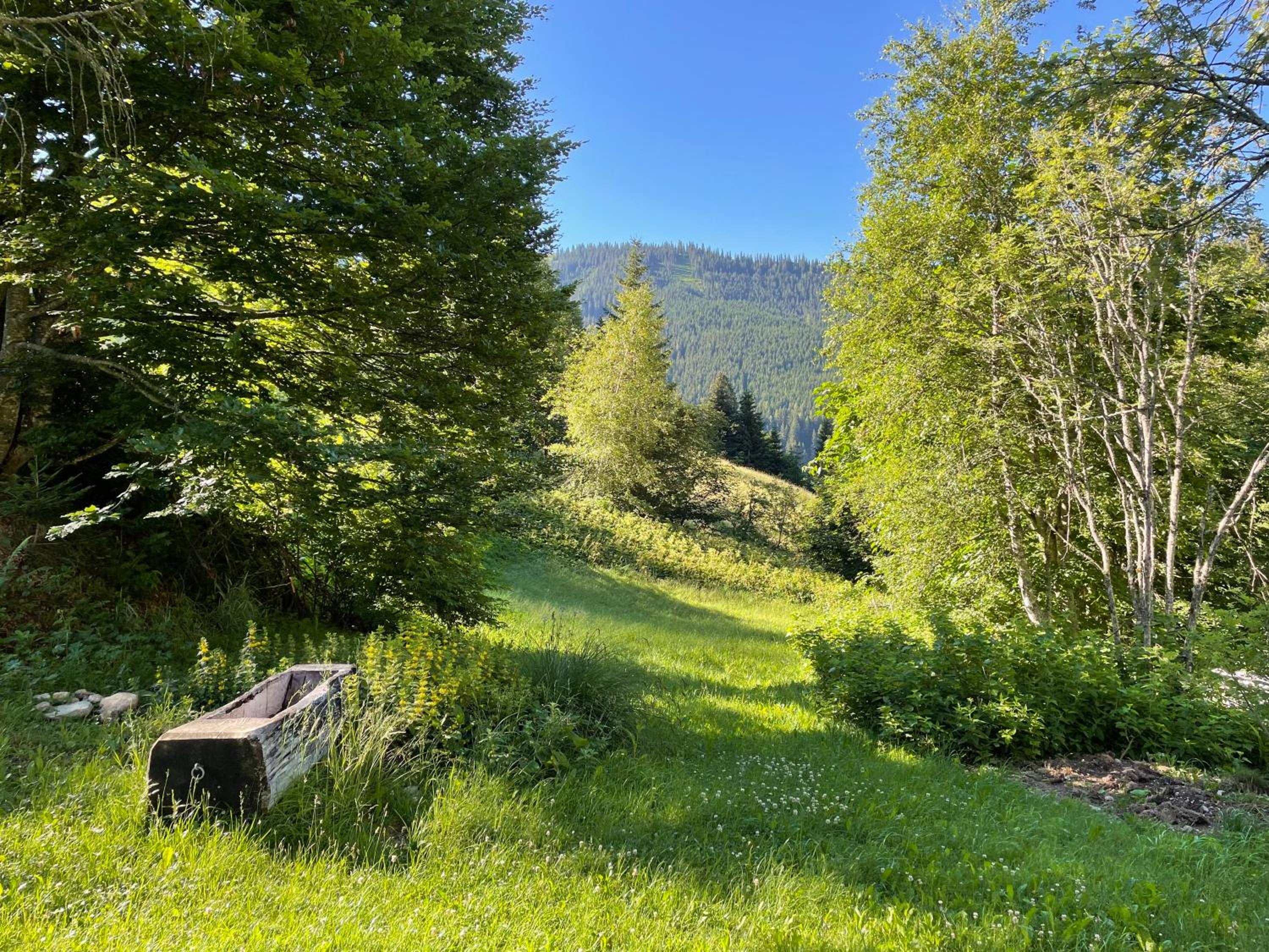 Ski- und Sommer-Chalet für 10 Personen in Dienten am Hochkönig