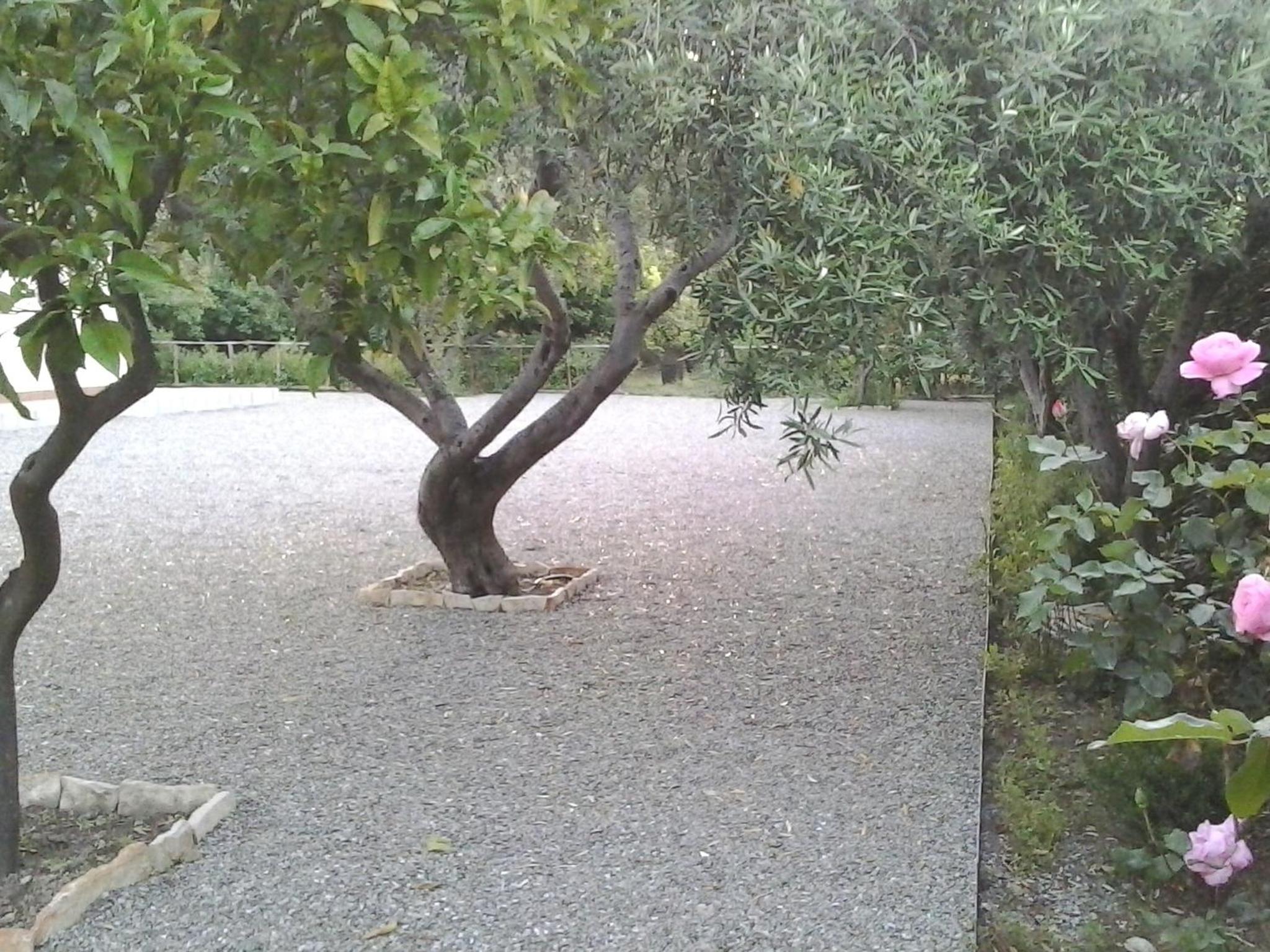 B&B Il Giardino di Zefiro