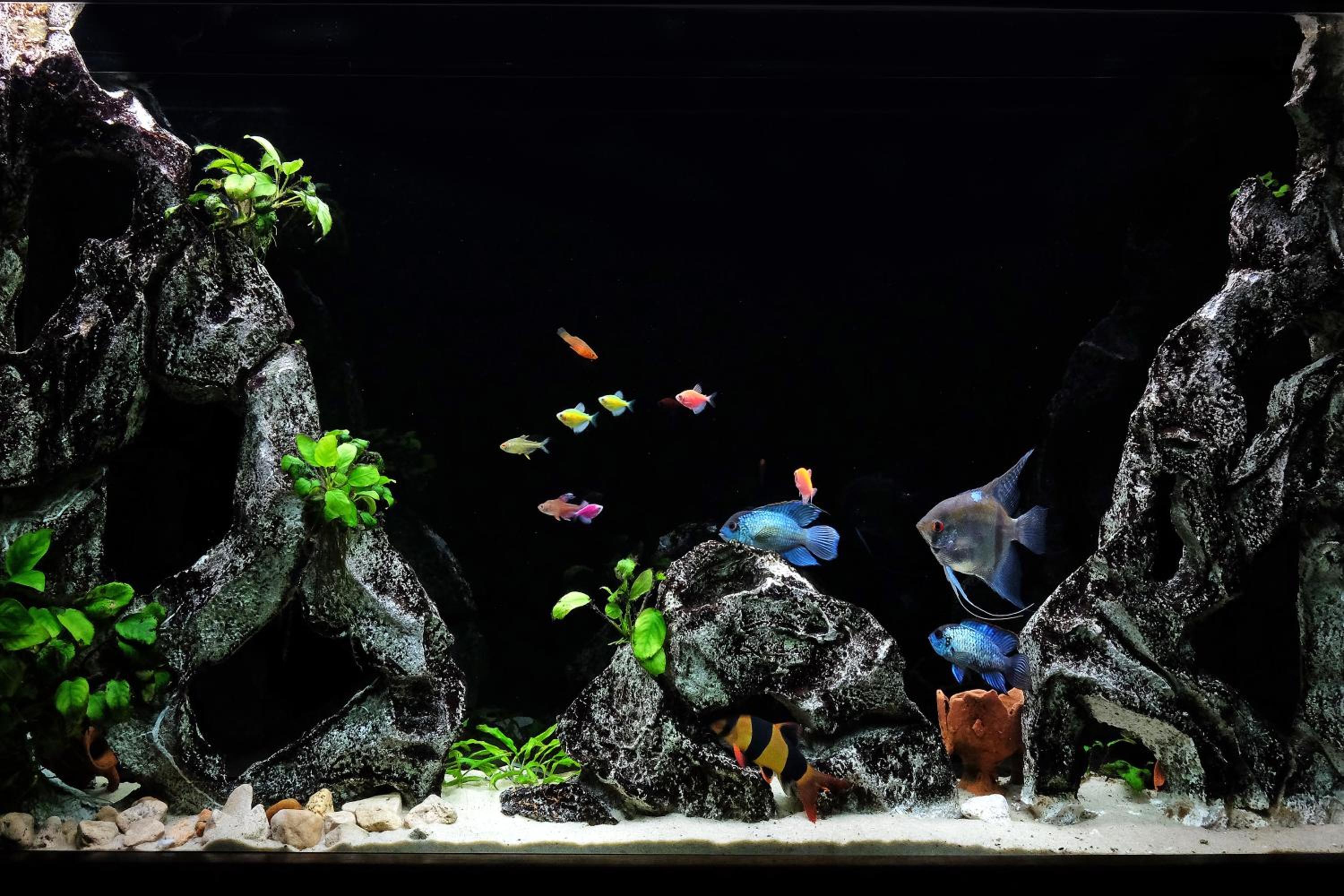 Photo 9