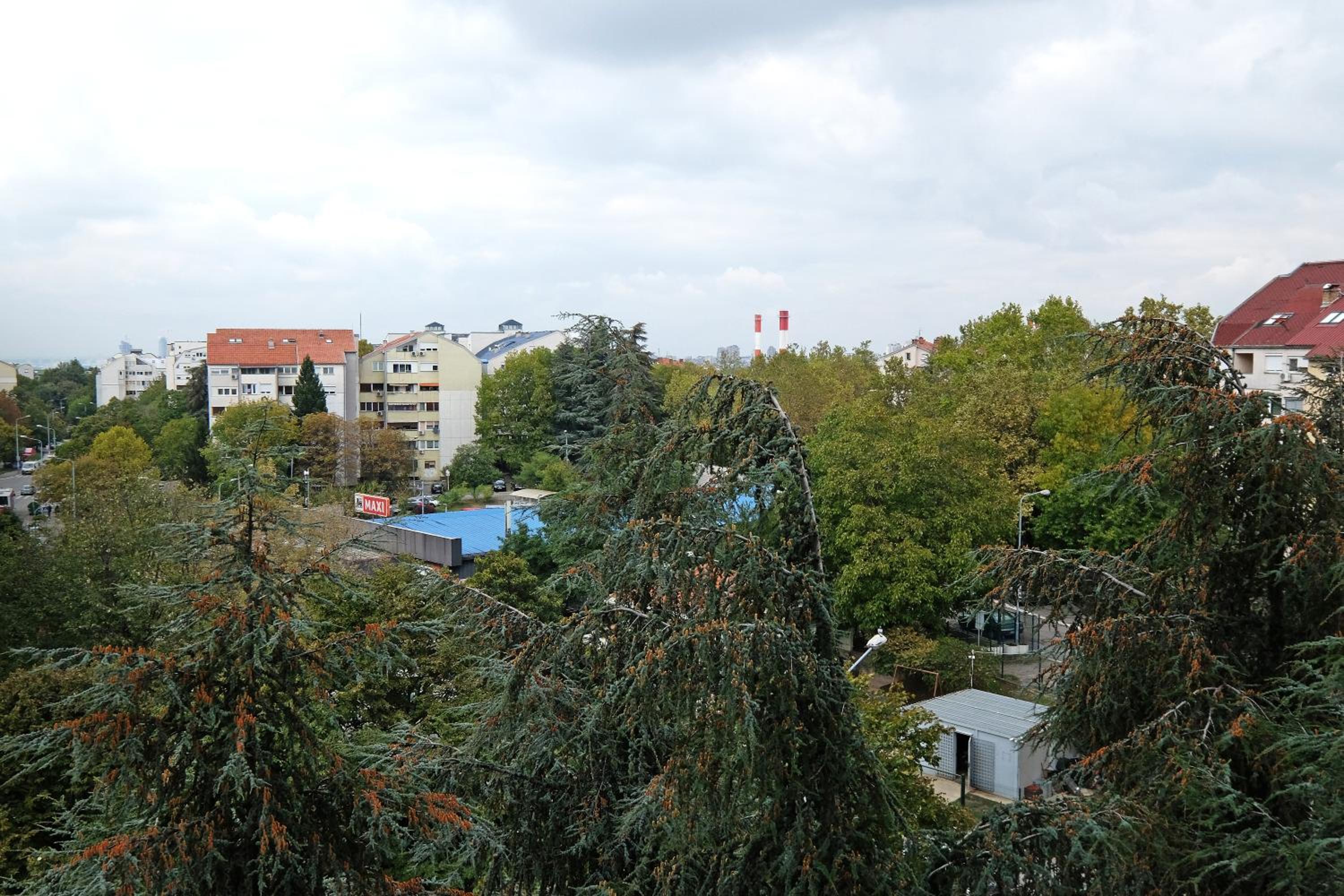 Photo 29