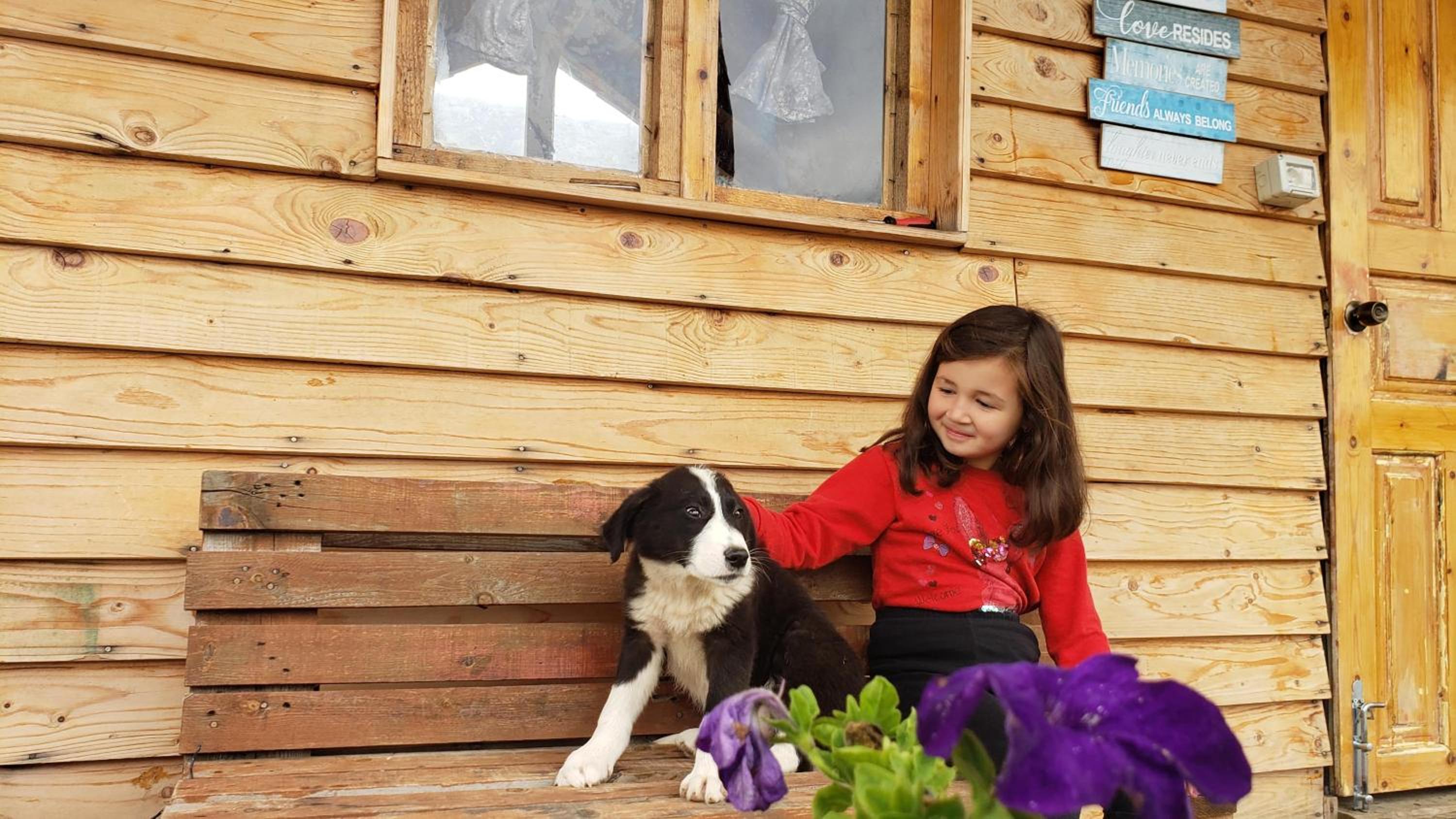 Life on the farm