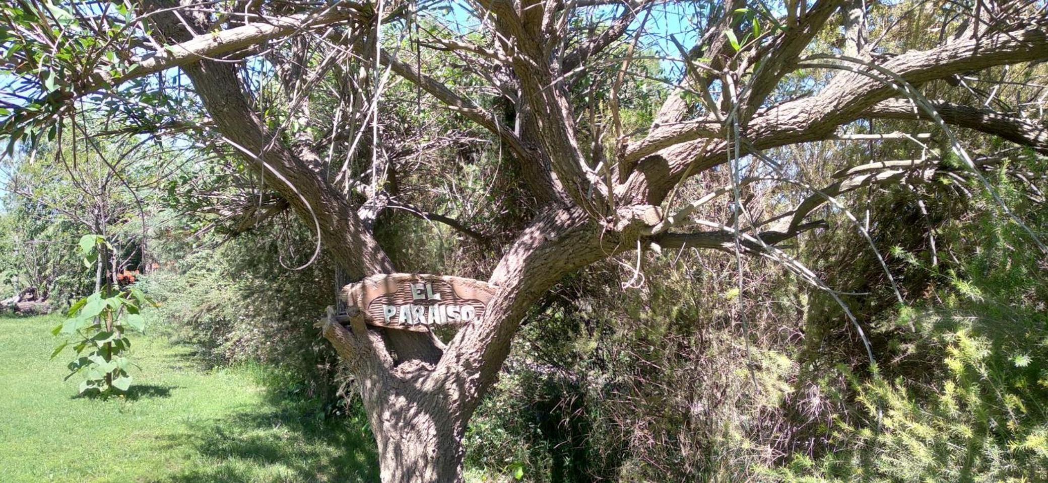El Paraiso de Carmen de Areco