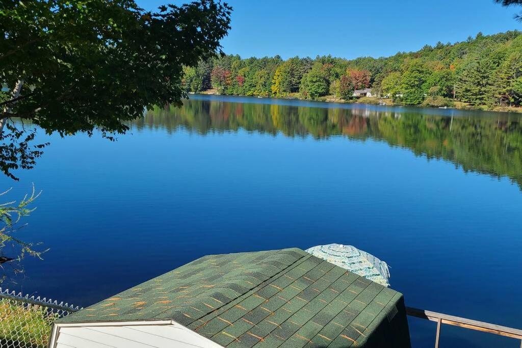 Year-round Waterfront Green Cottage On Vert Lake view 3