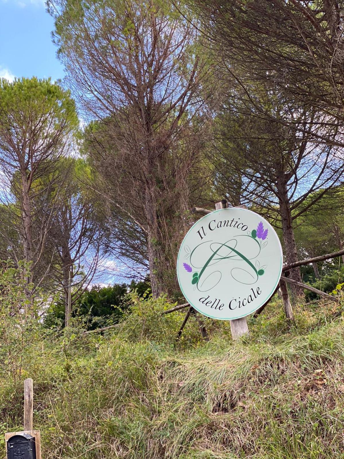 Il Cantico delle Cicale view 2