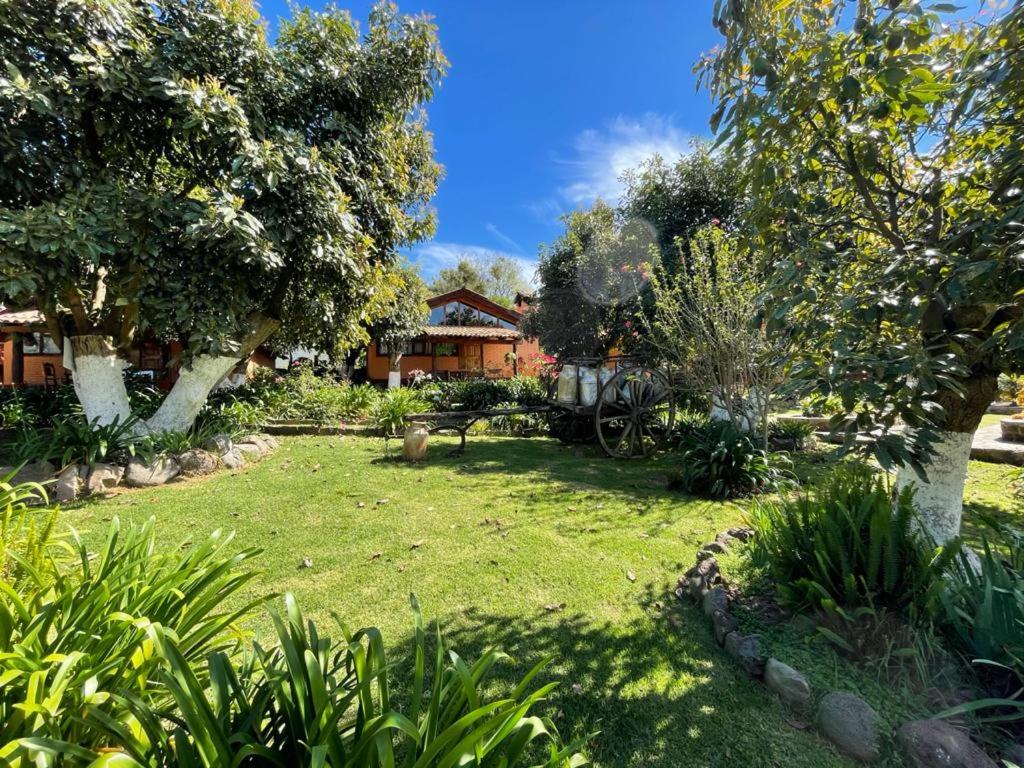 La Huerta view 5