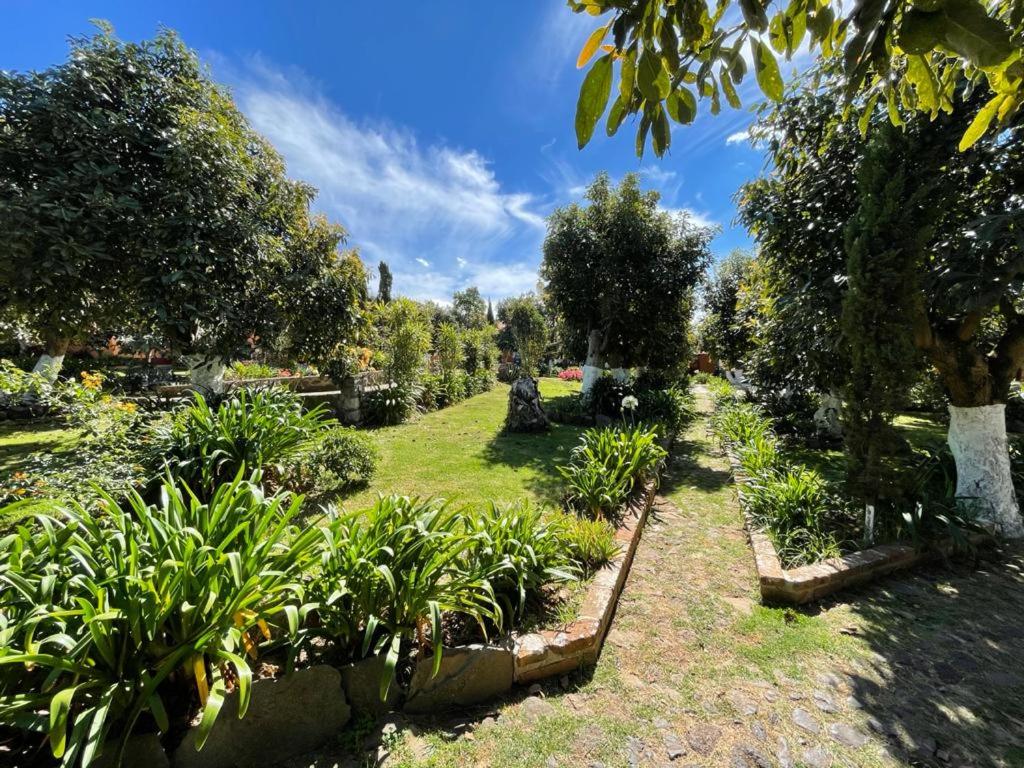 La Huerta view 4