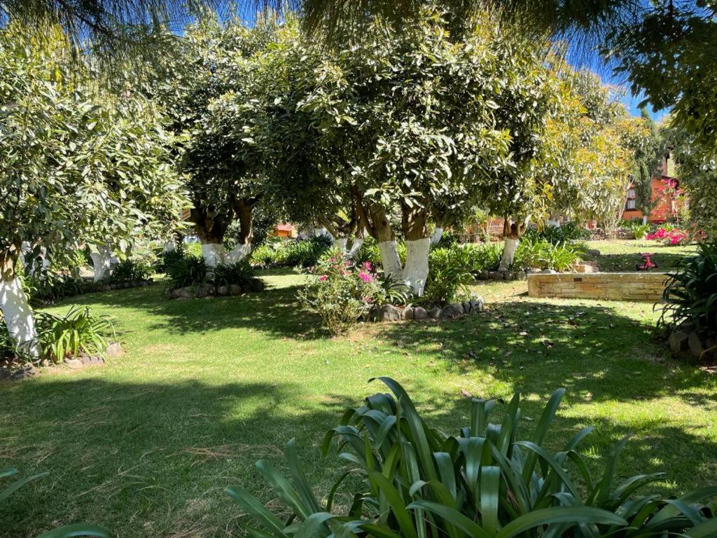 La Huerta view 2