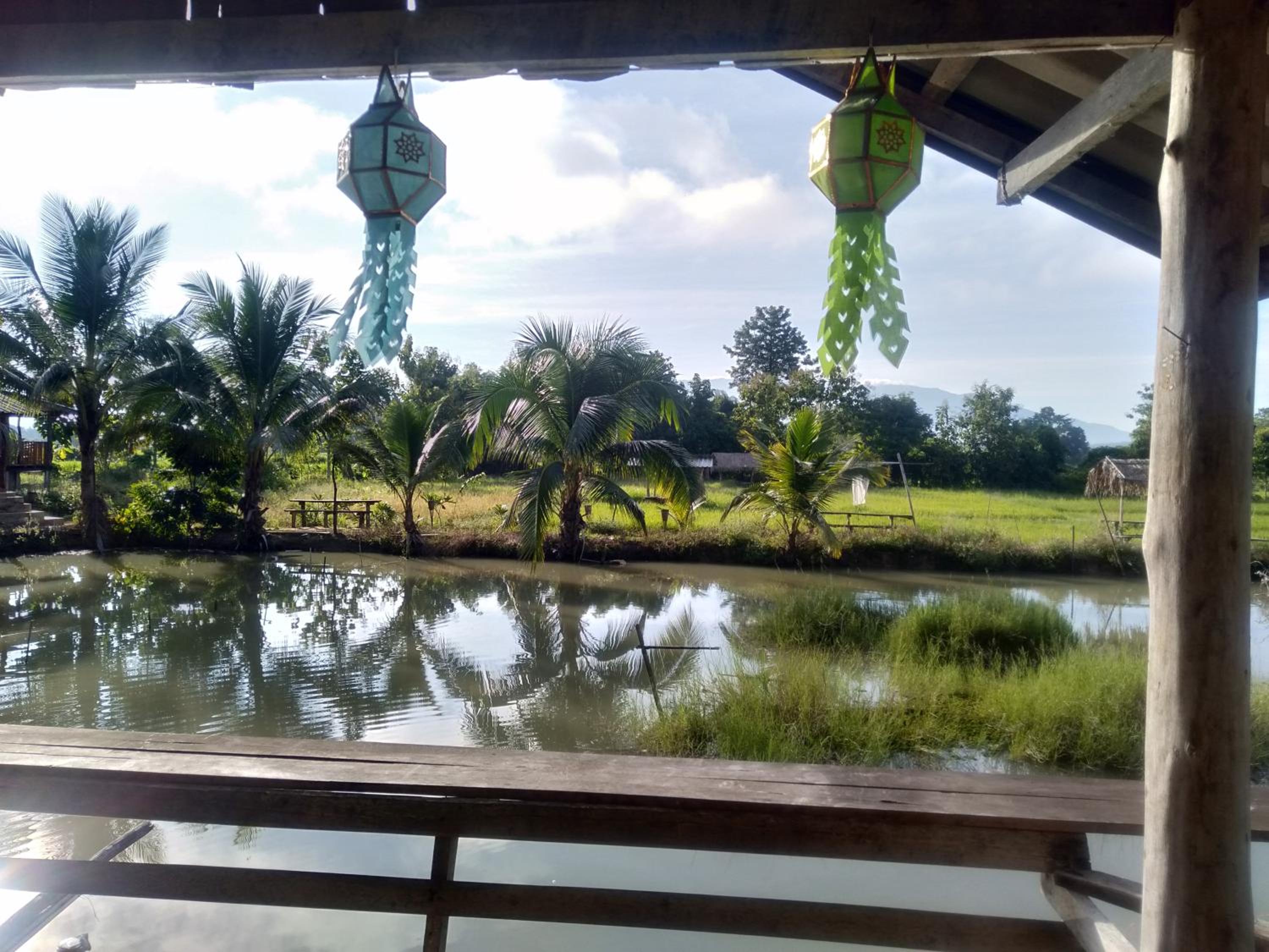 Photo 64