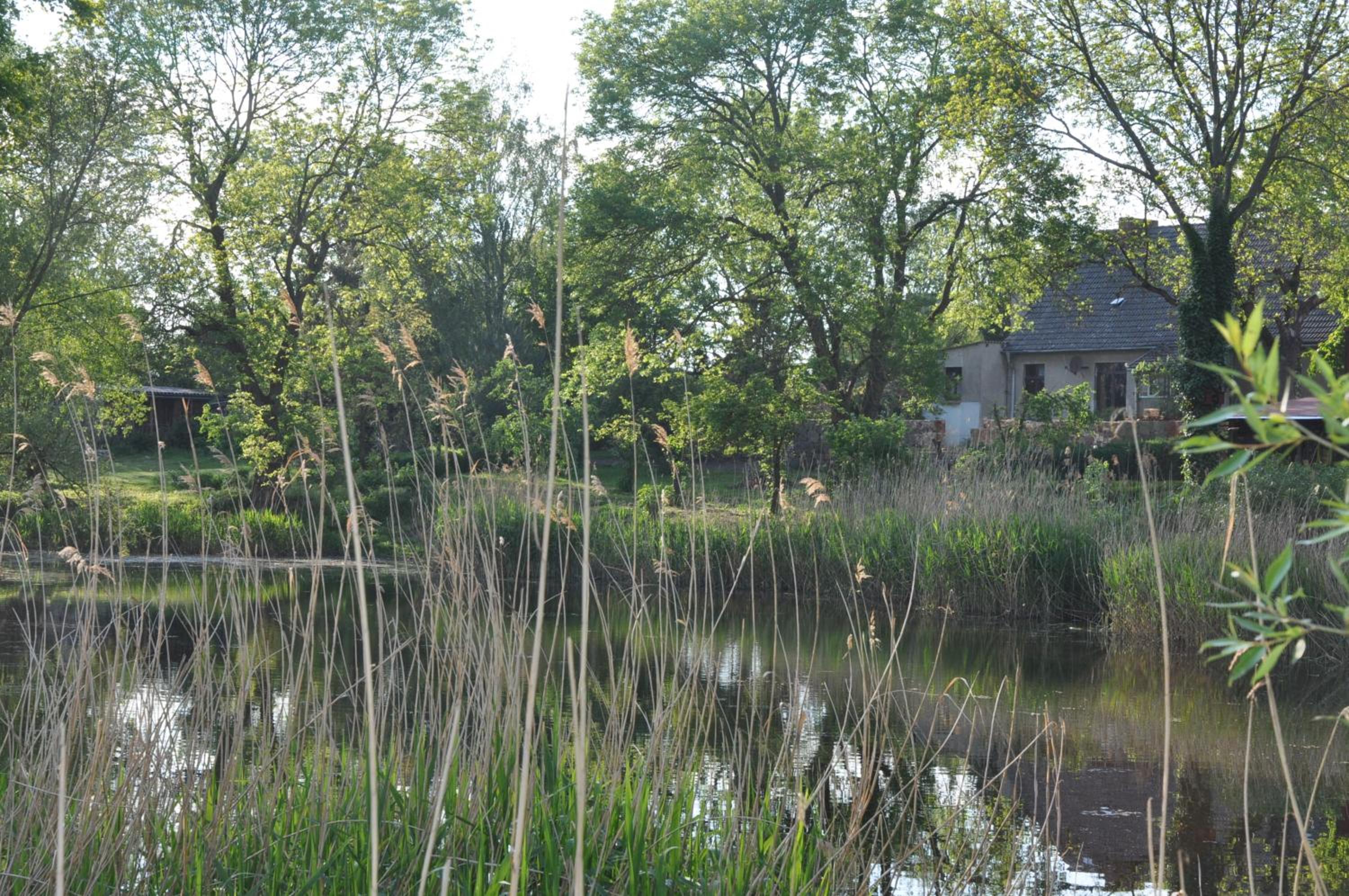 Ferienhaus Caselow 23A
