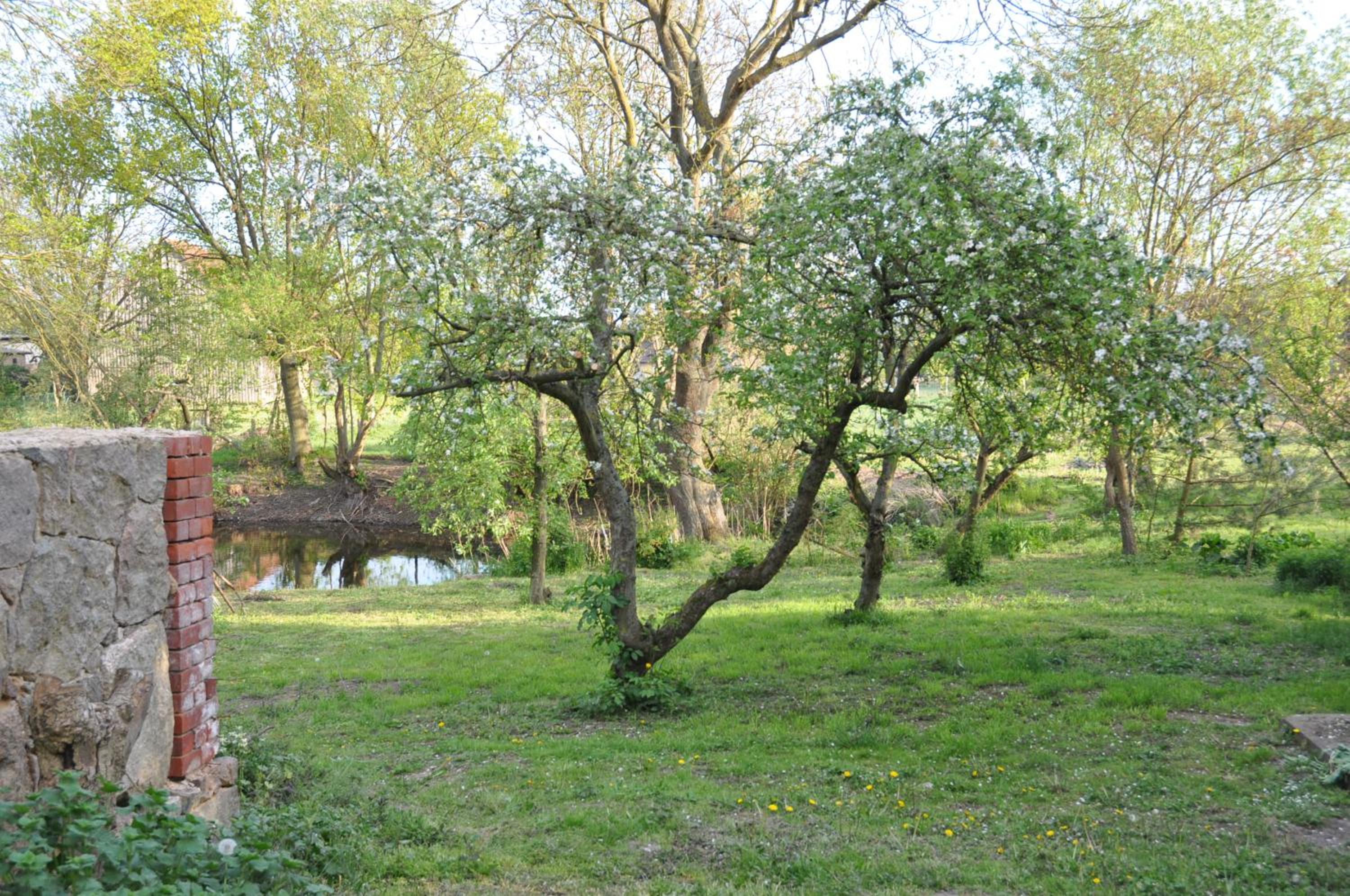 Ferienhaus Caselow 23A