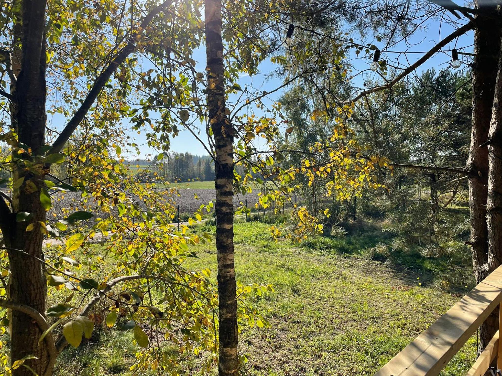 high-Q view 5