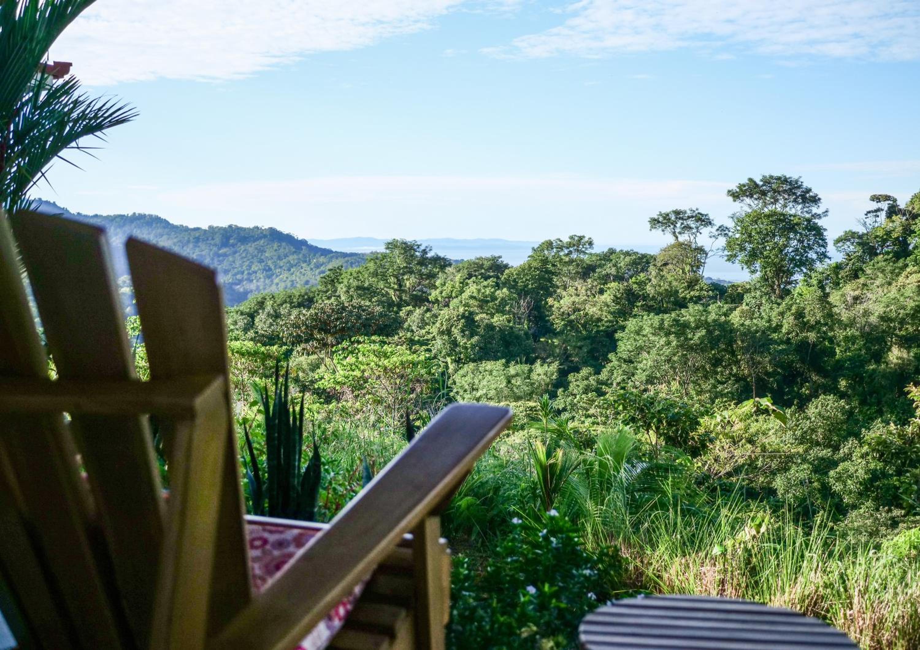 Nature's Edge Boutique Hotel