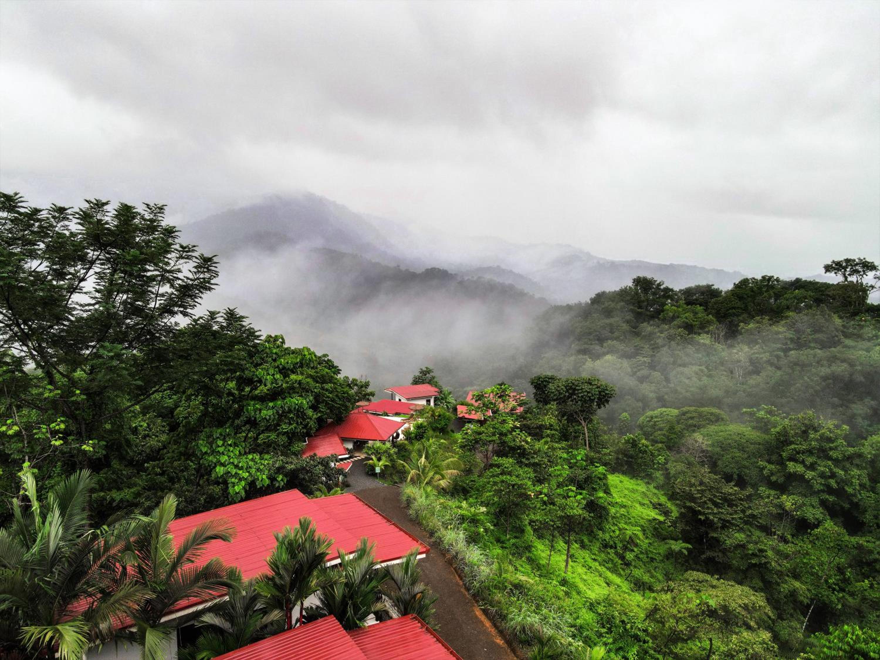 Nature's Edge Boutique Hotel