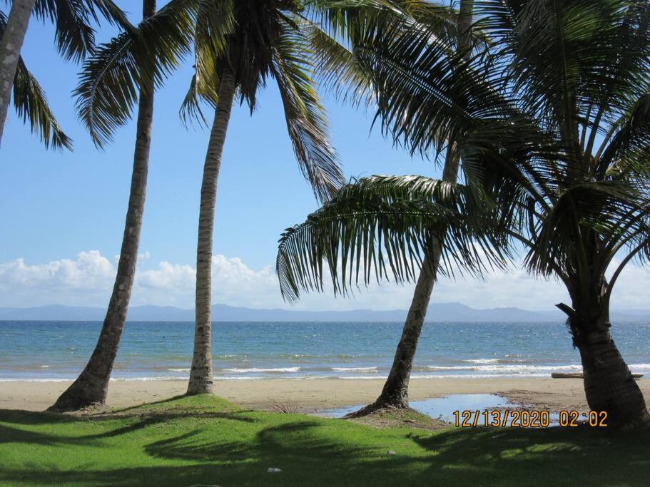 Pelicano Tropical Paraiso Samana view 2