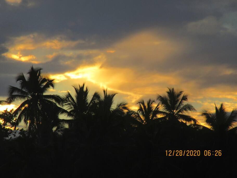Pelicano Tropical Paraiso Samana view 4