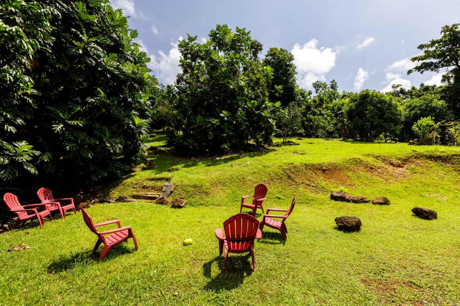 Rainforest Retreat 15 min from the beach