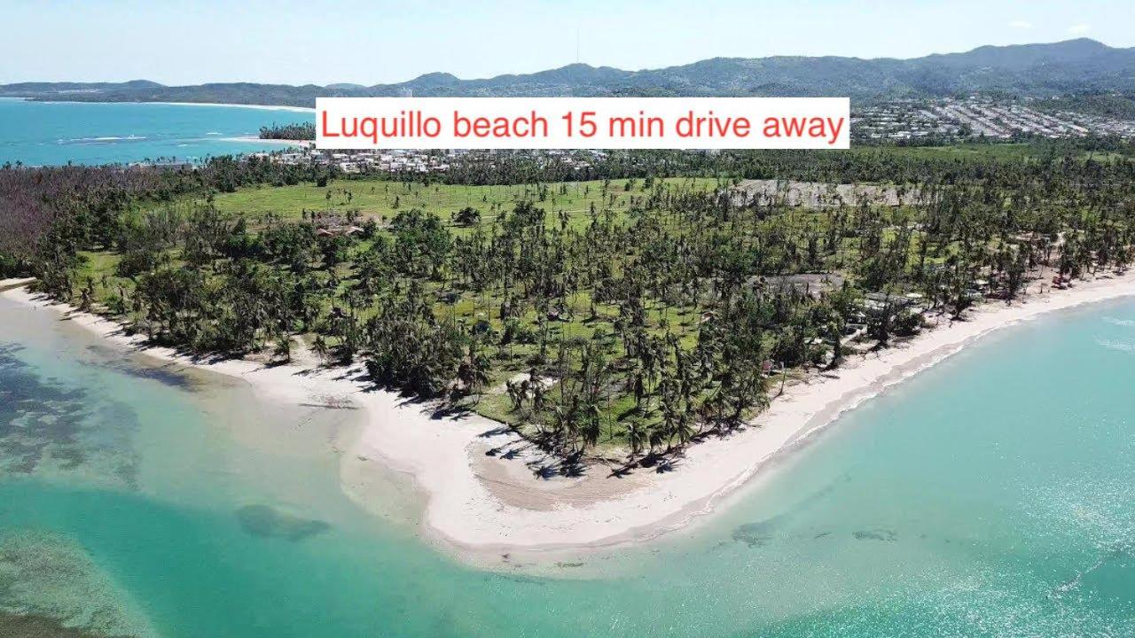 Rainforest Retreat 15 min from the beach