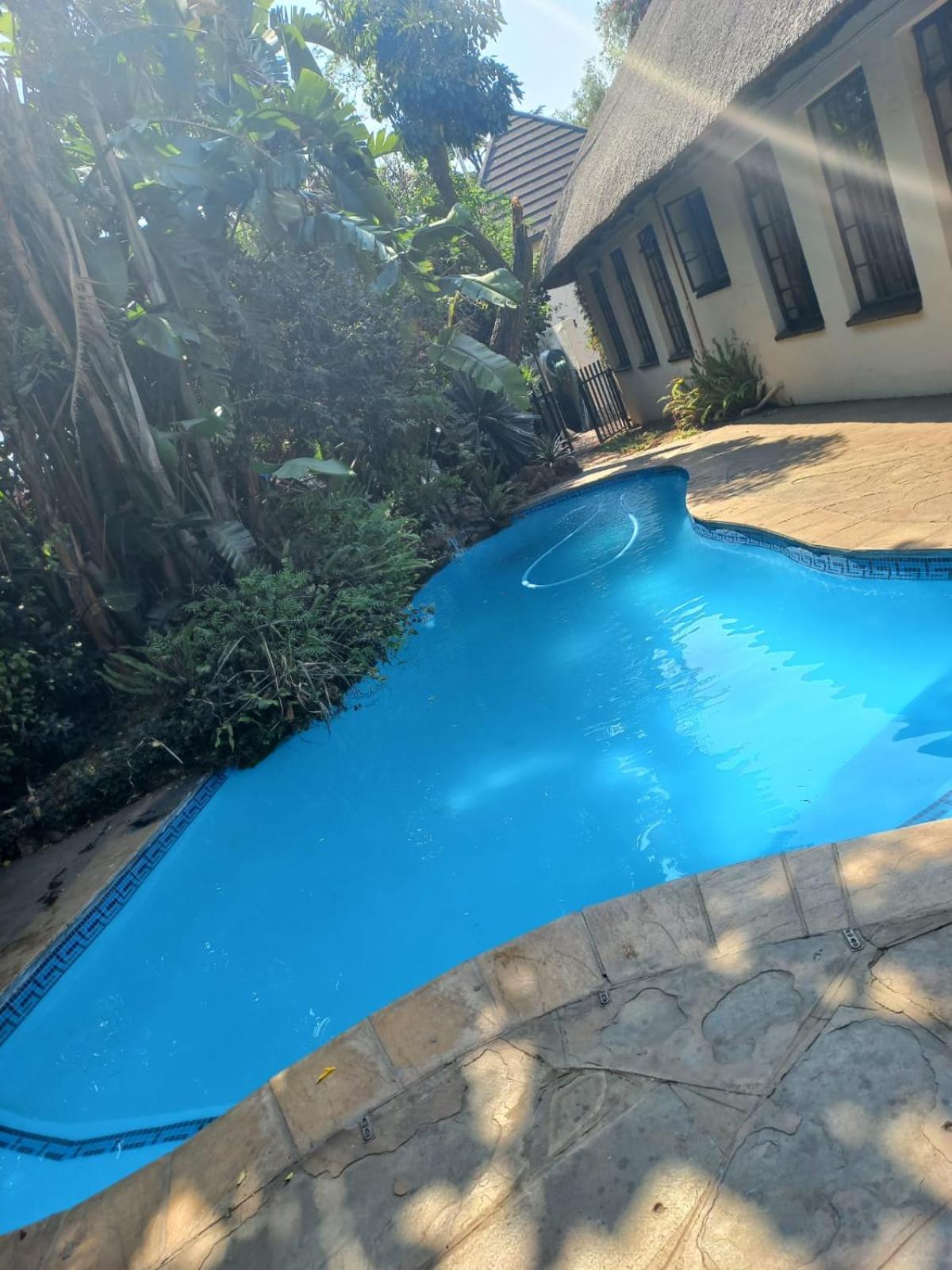 Johannesburg Vacations - Birch Tree Cottage - Property Image 34