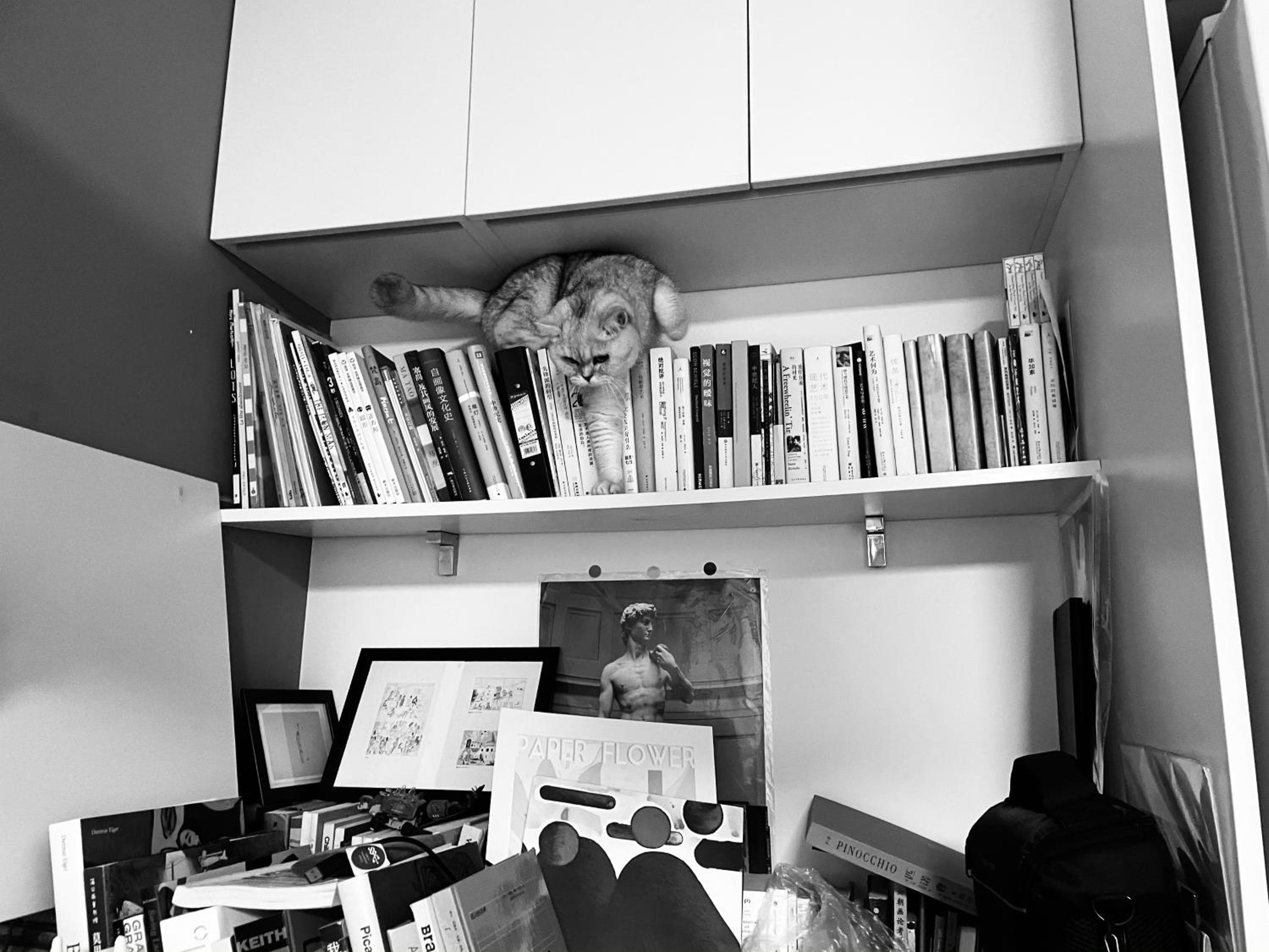 Photo 14