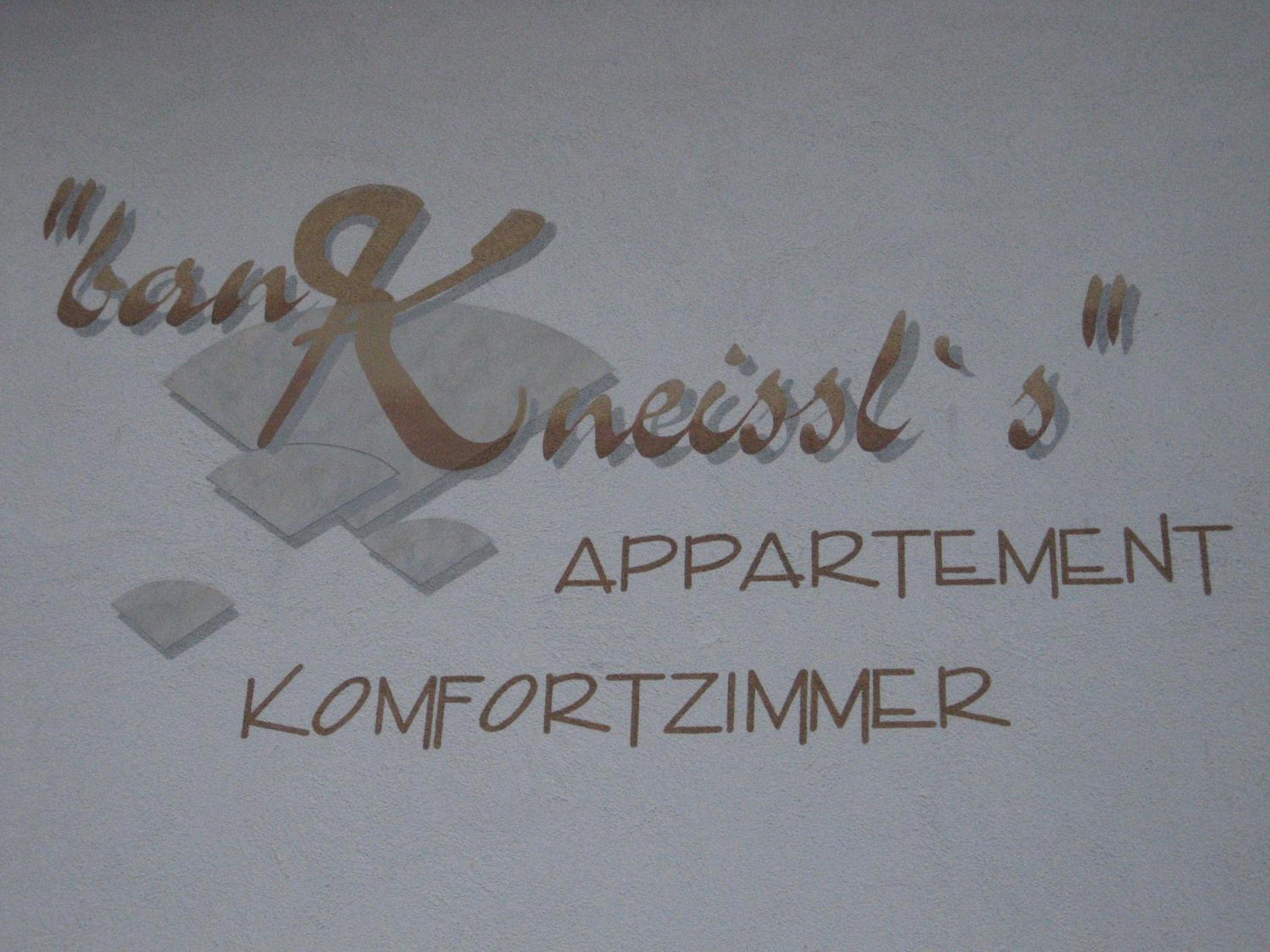 ban Kneissl`s