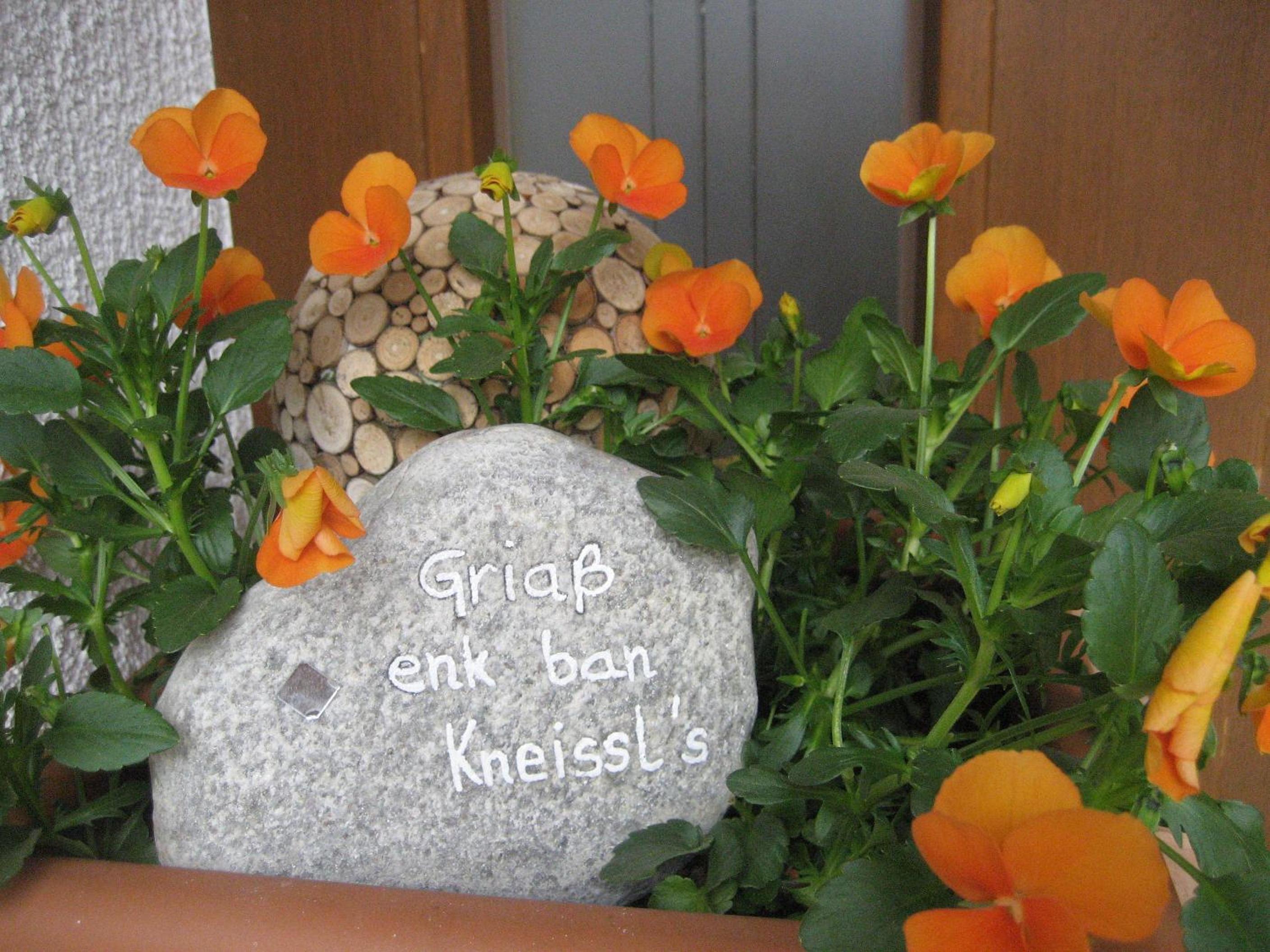 ban Kneissl`s