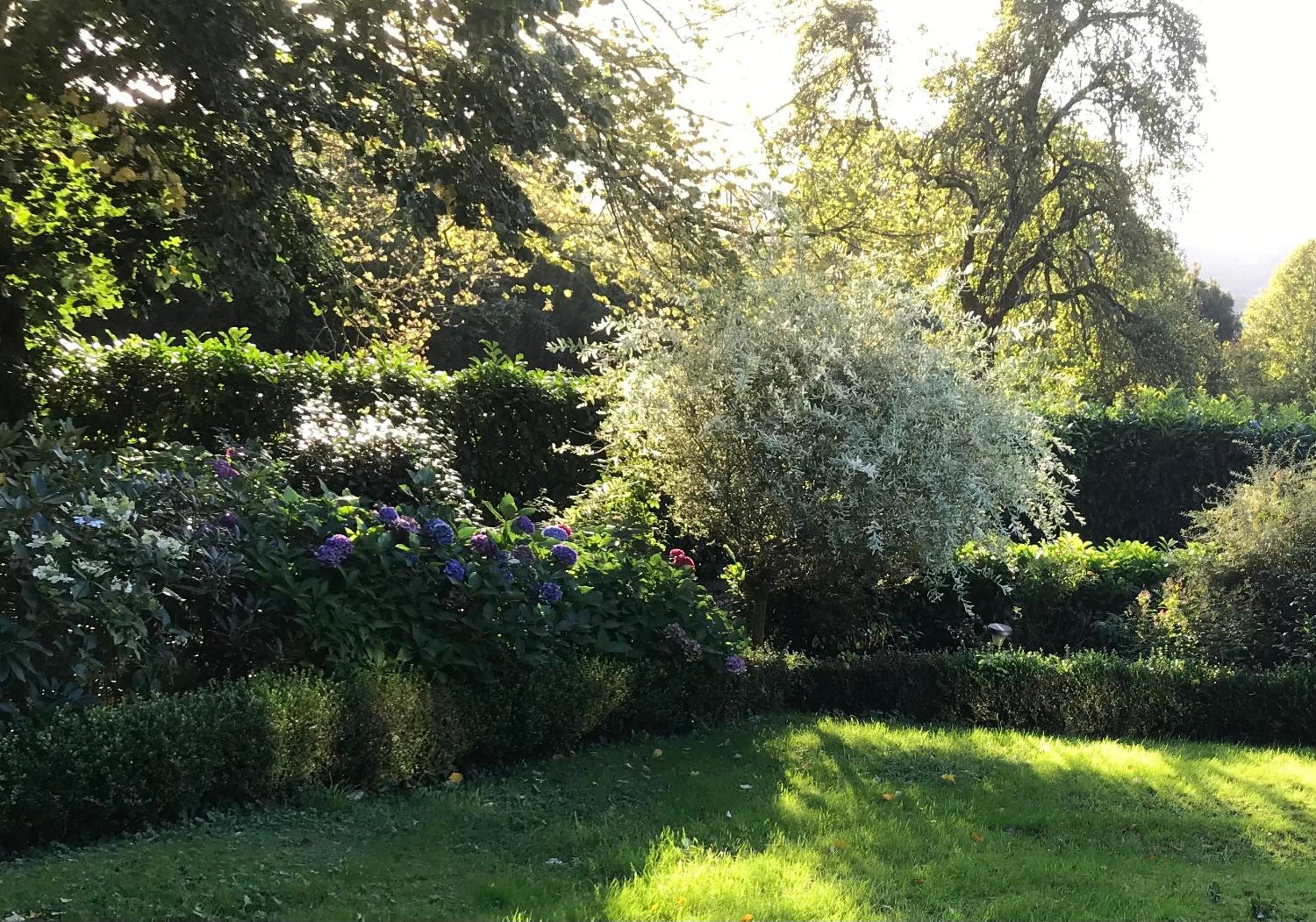 Photo 34