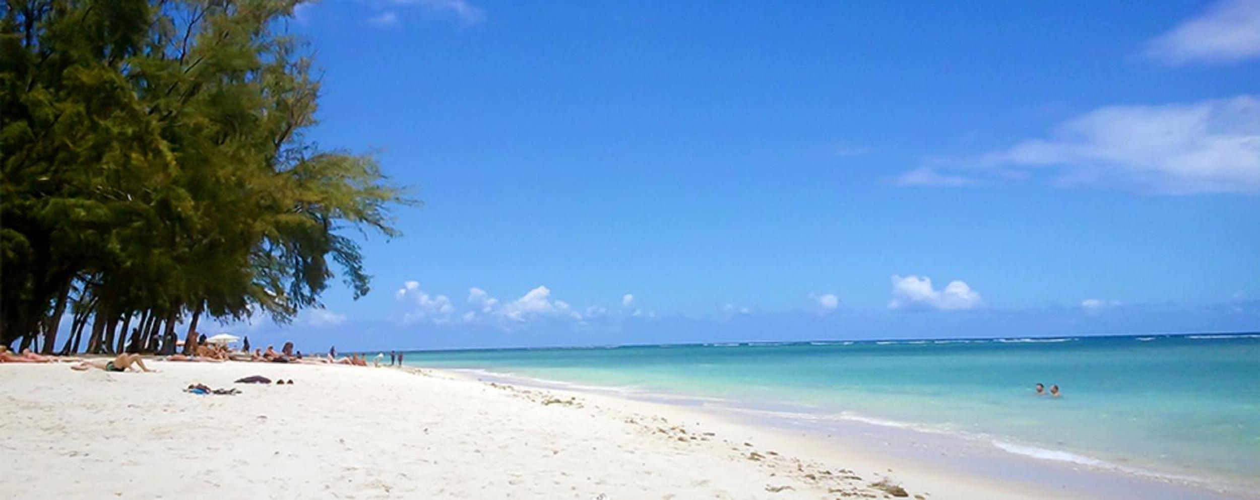 Le Tamier - Amazing holidays view 3