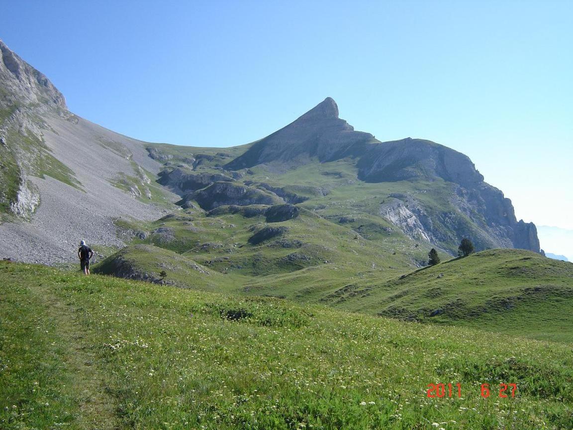 Photo 4