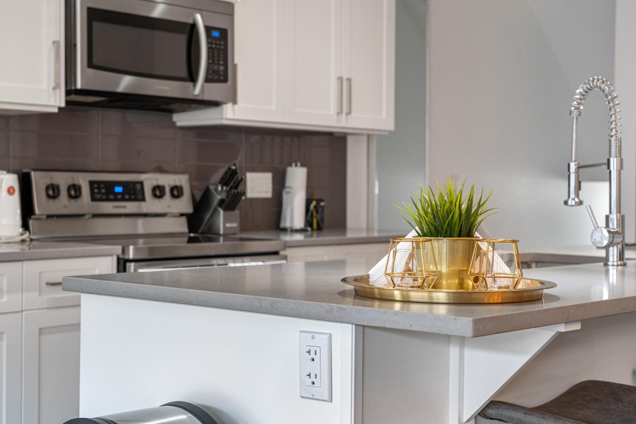 Contemporary Luxury 4 bedroom House near Downtown