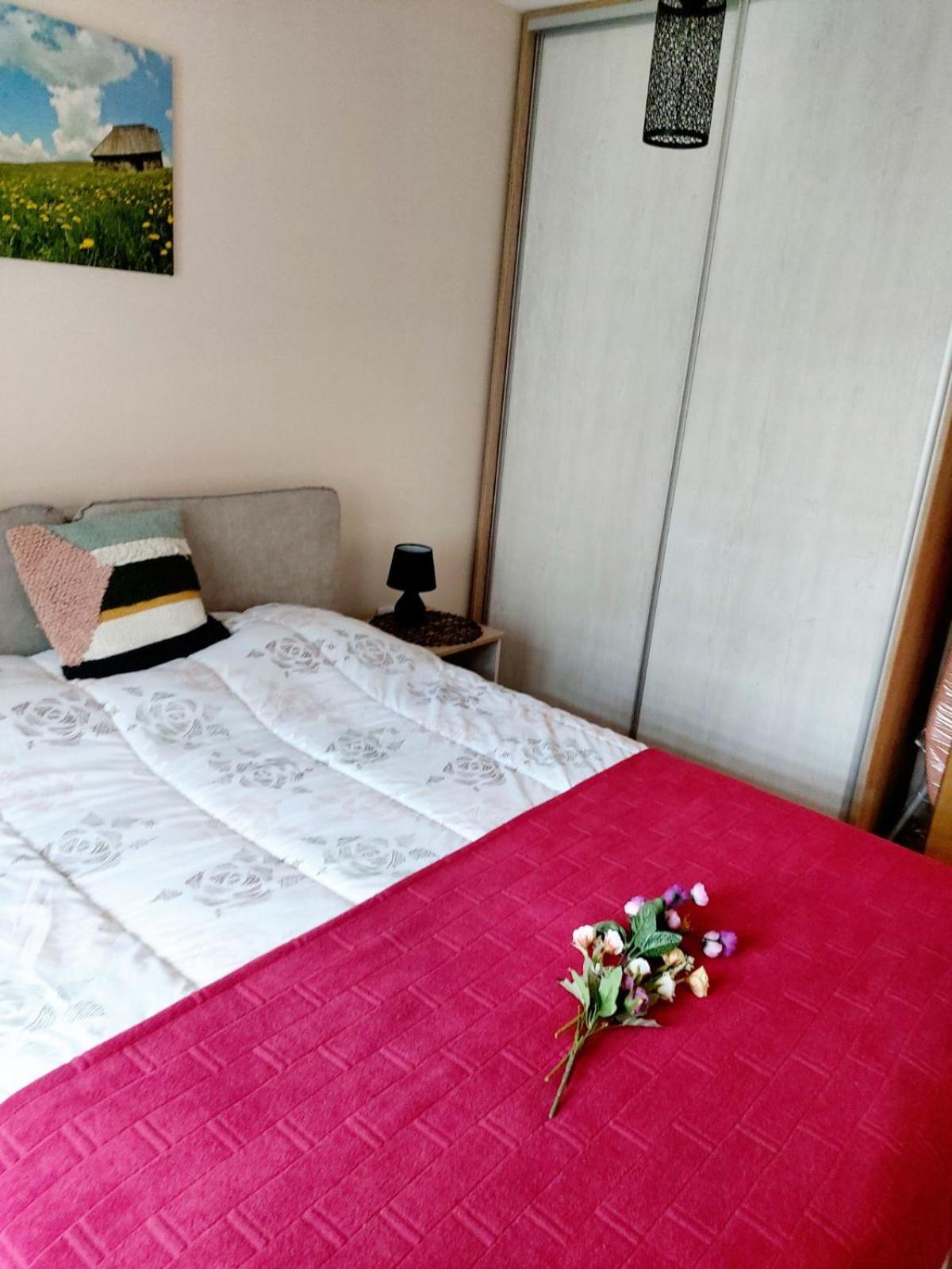 APARTMAN SONJA view 5