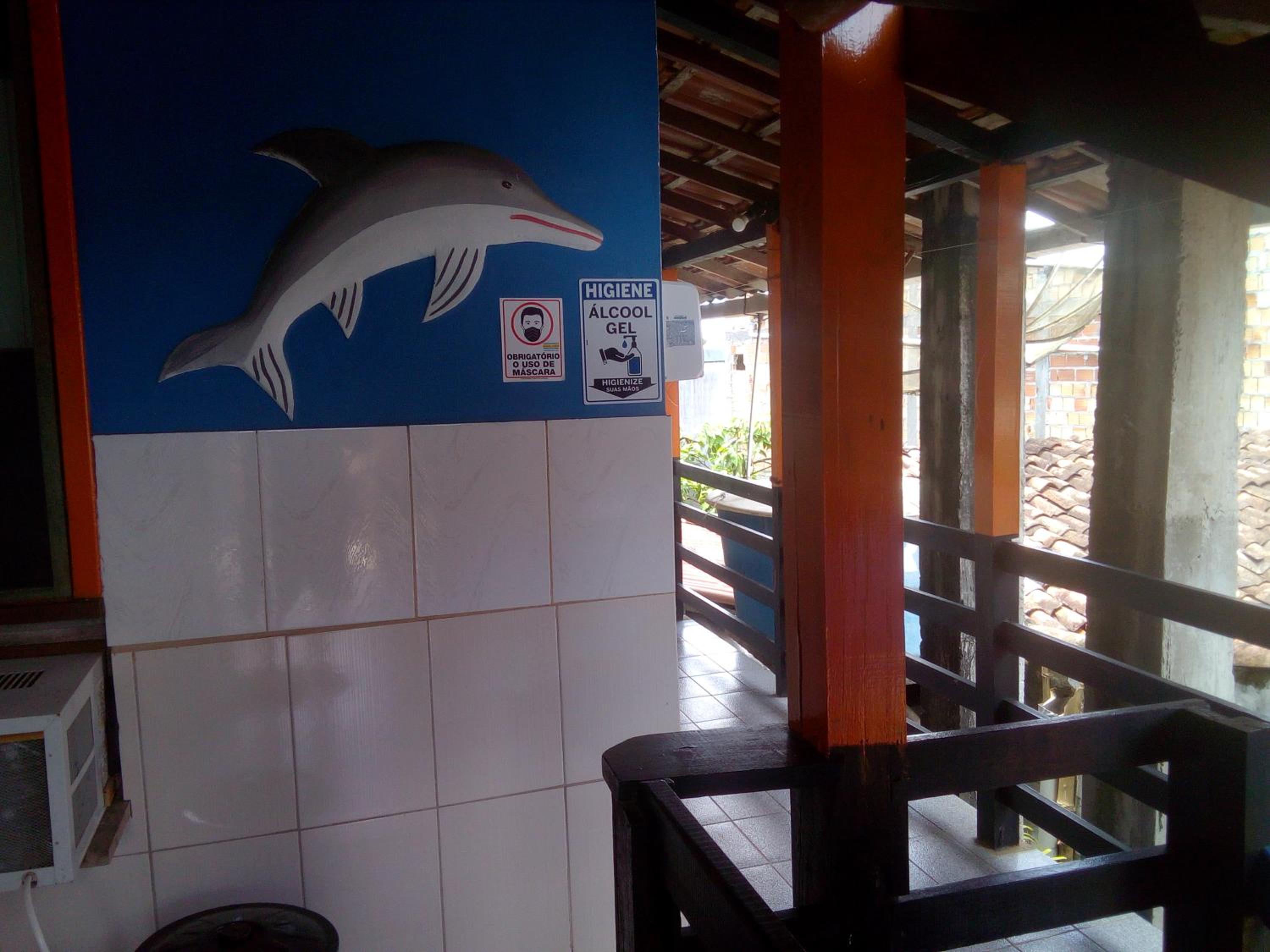 Shark Tubarao Suites Central Area