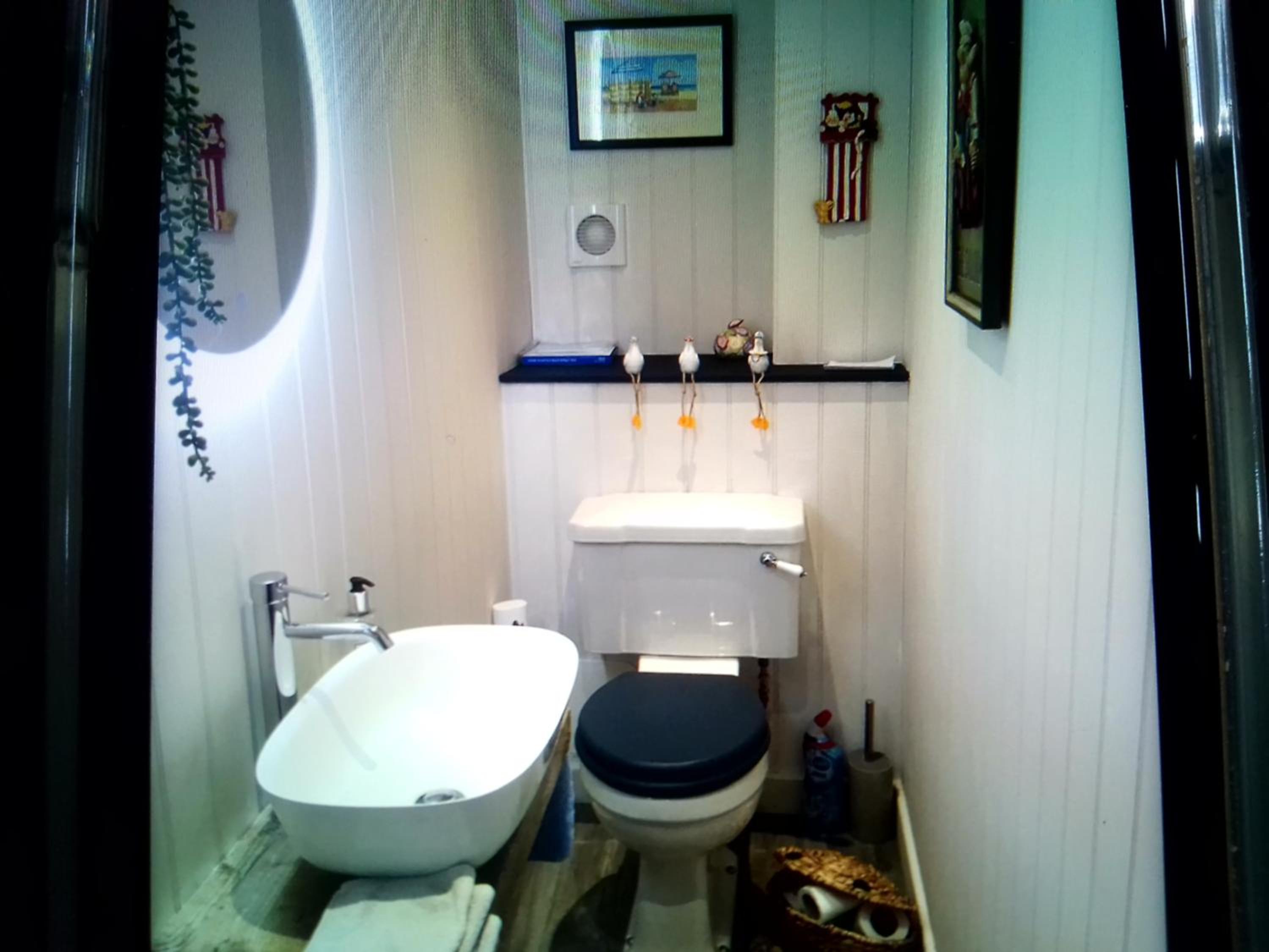 Photo 11