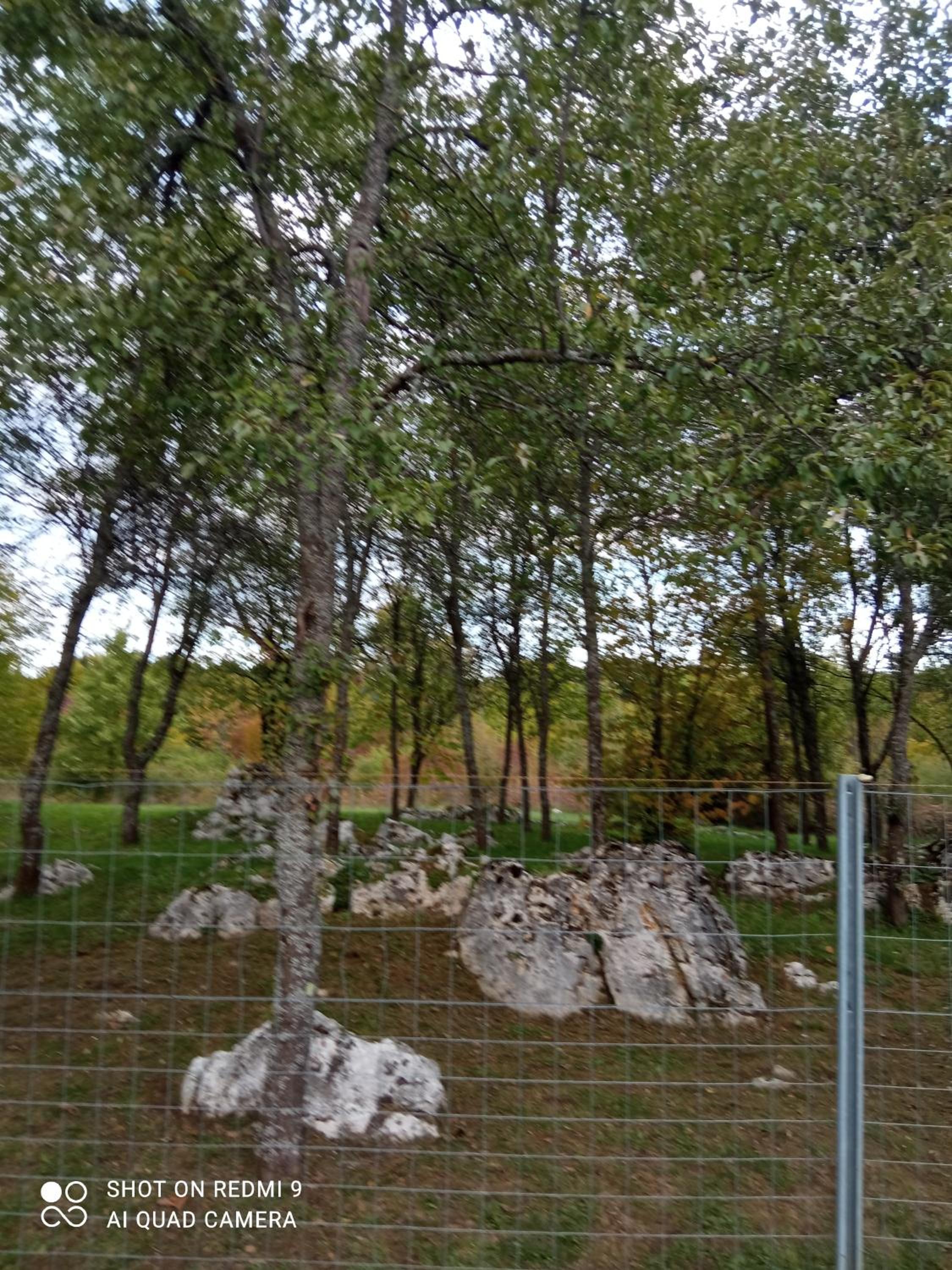 Photo 31