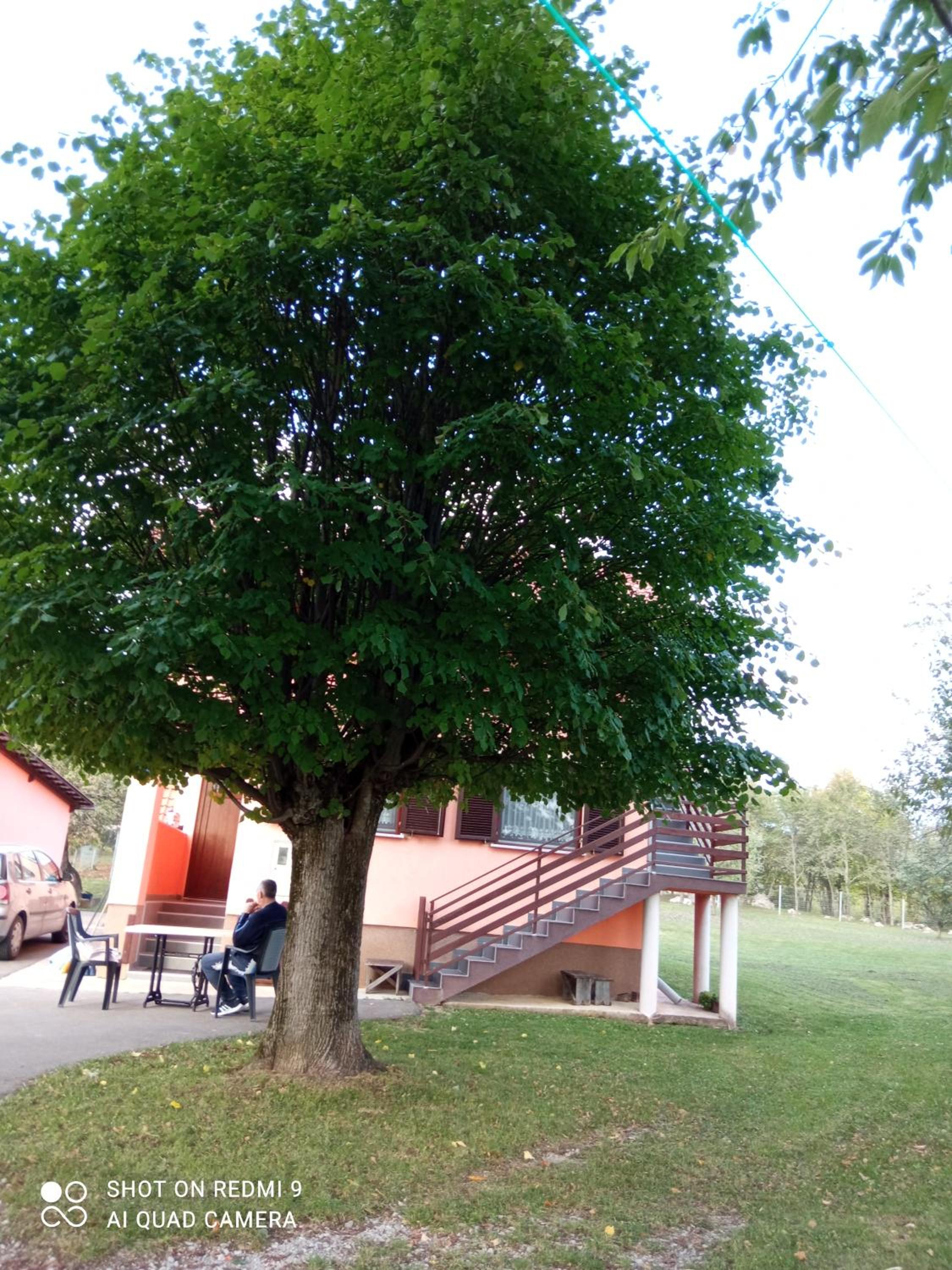Photo 34