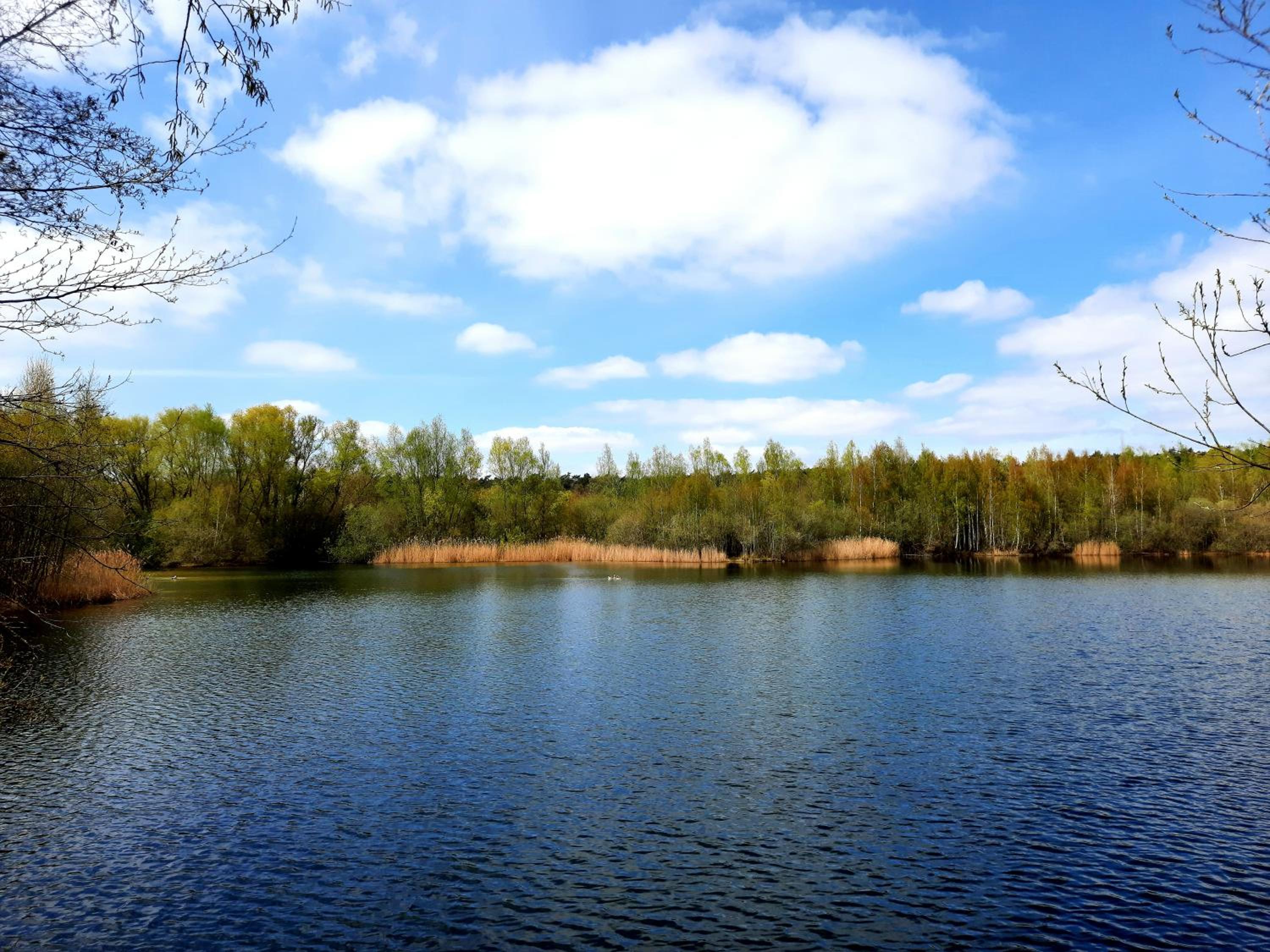 Ferienhaus am See Goch Kessel