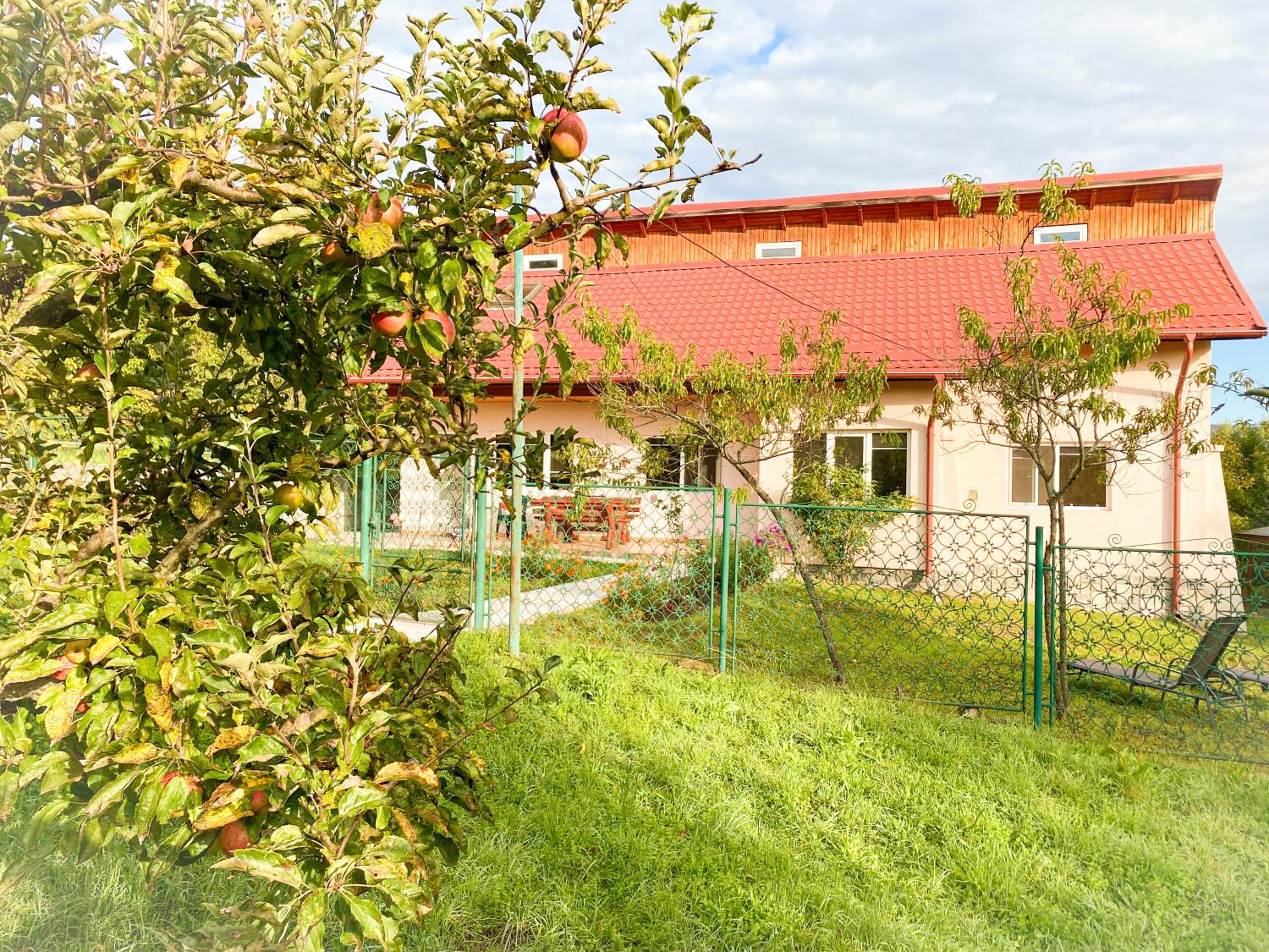 Photo 28