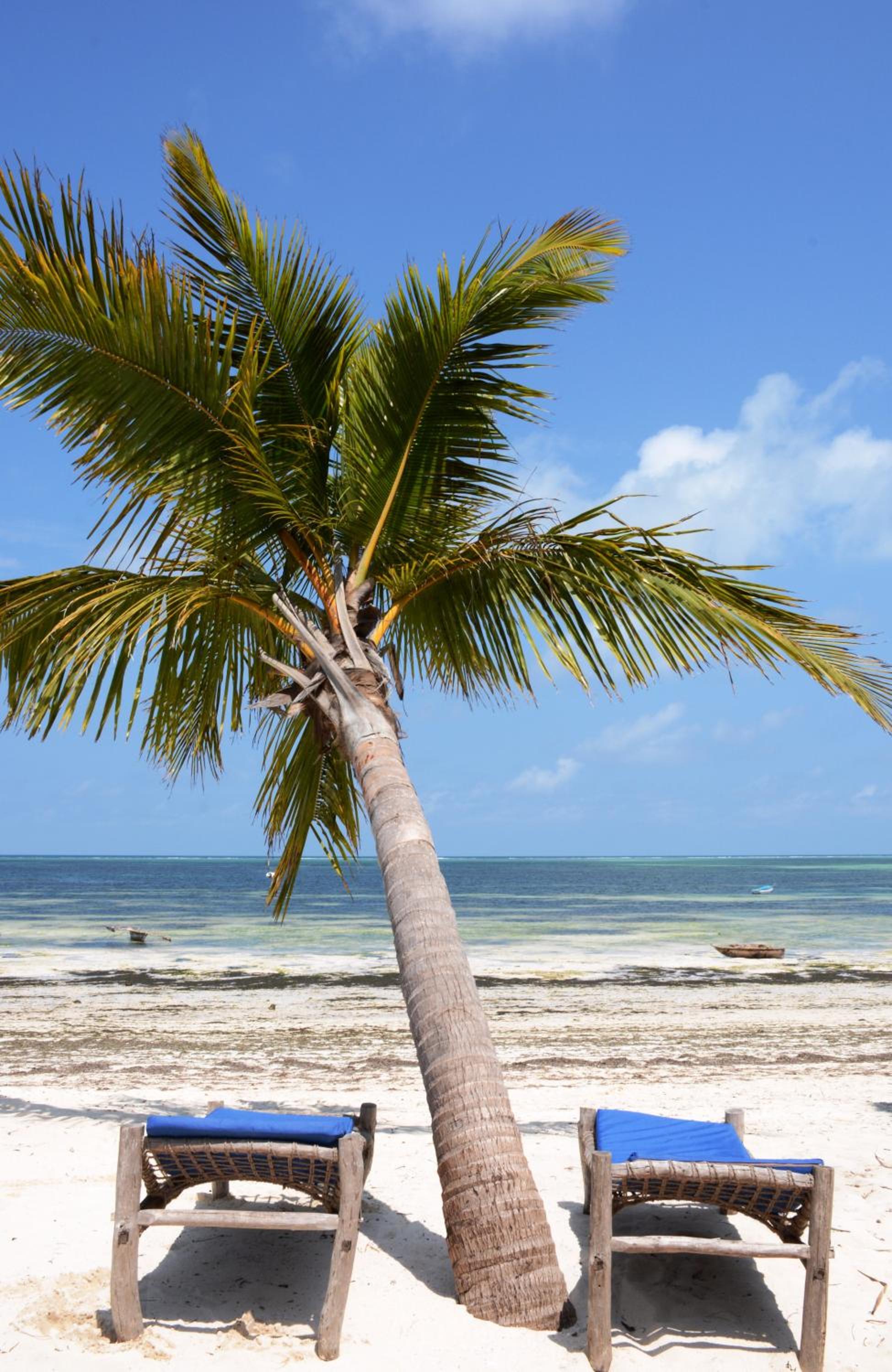 Kiwengwa Vacations - Blu Marlin Village - Property Image 68