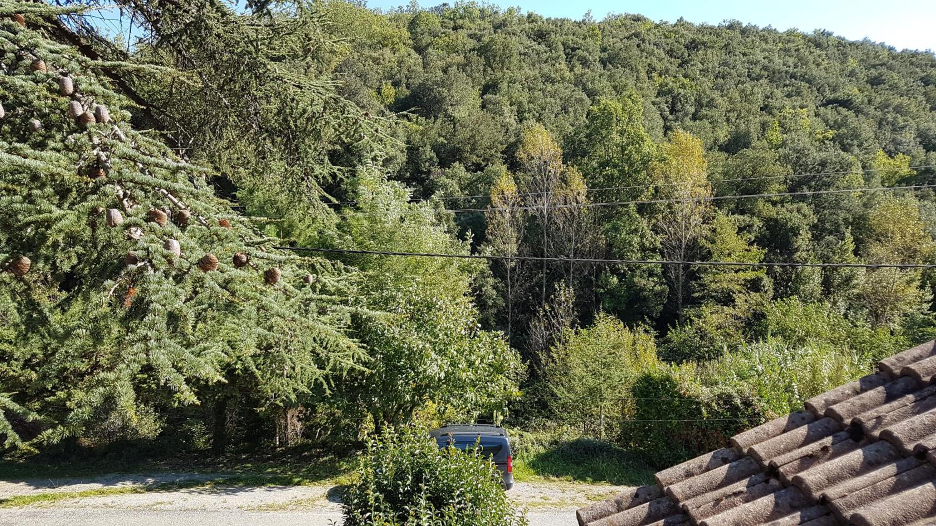 Le Clos du Cèdre photo 5