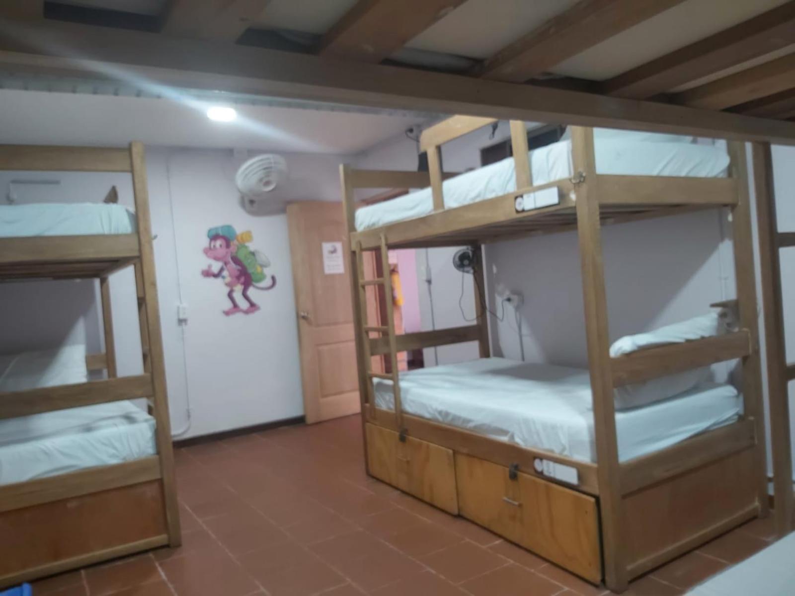 Purple Monkey Hostel