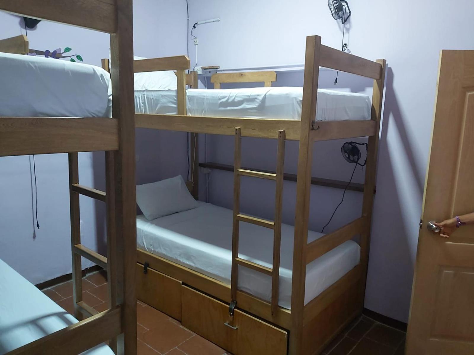 Purple Monkey Hostel