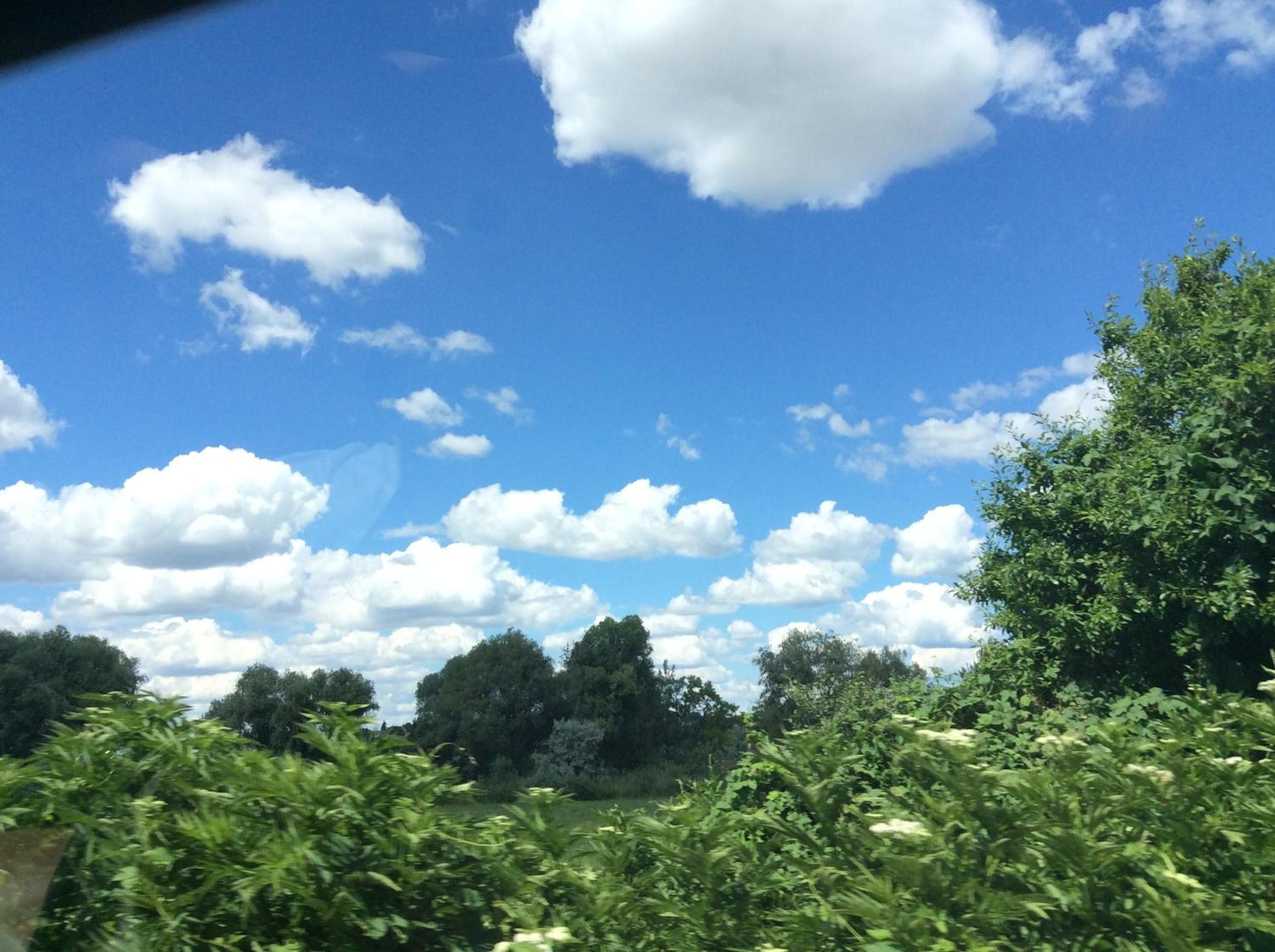 Photo 31