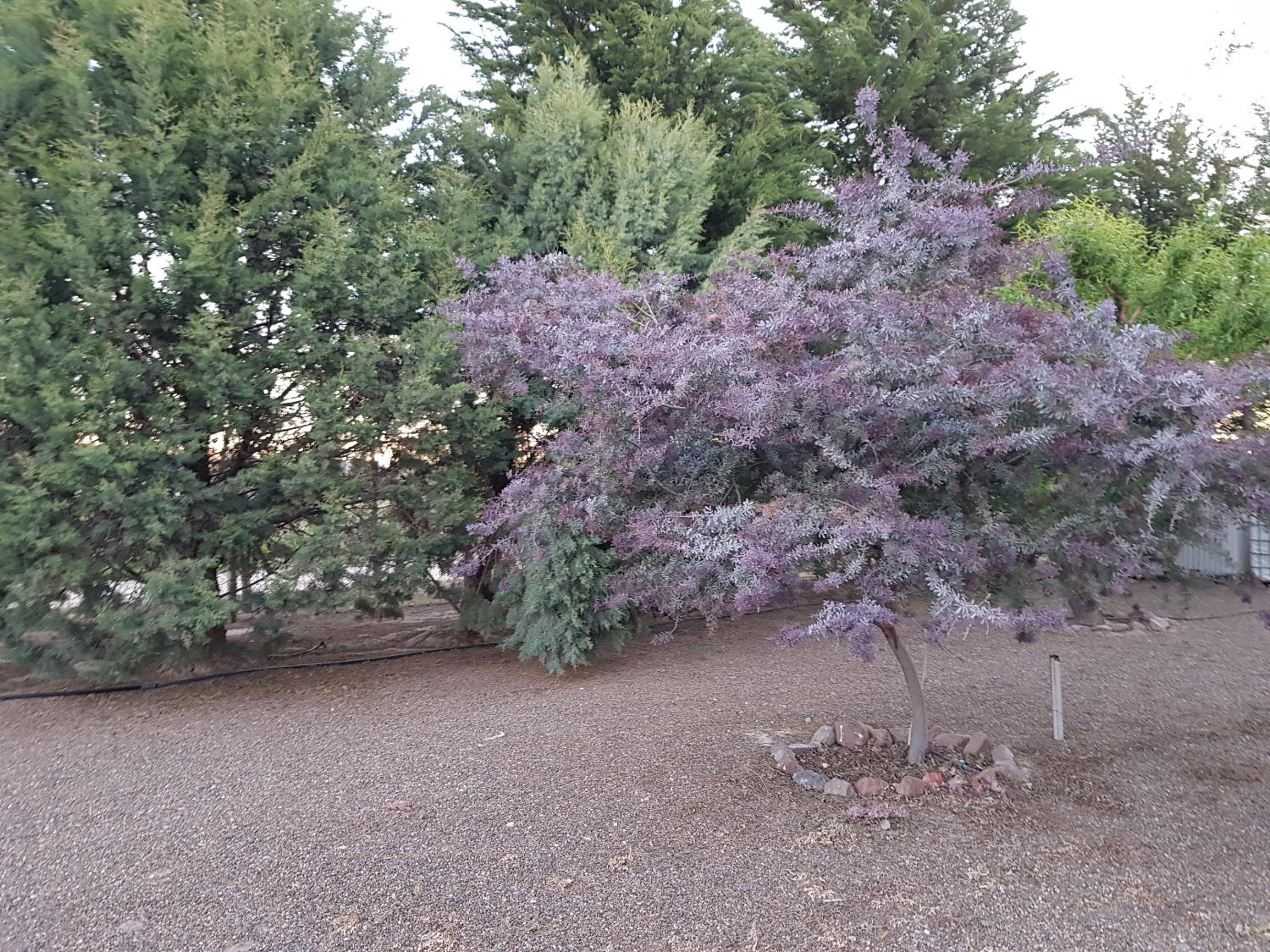 Quinta El Descanso