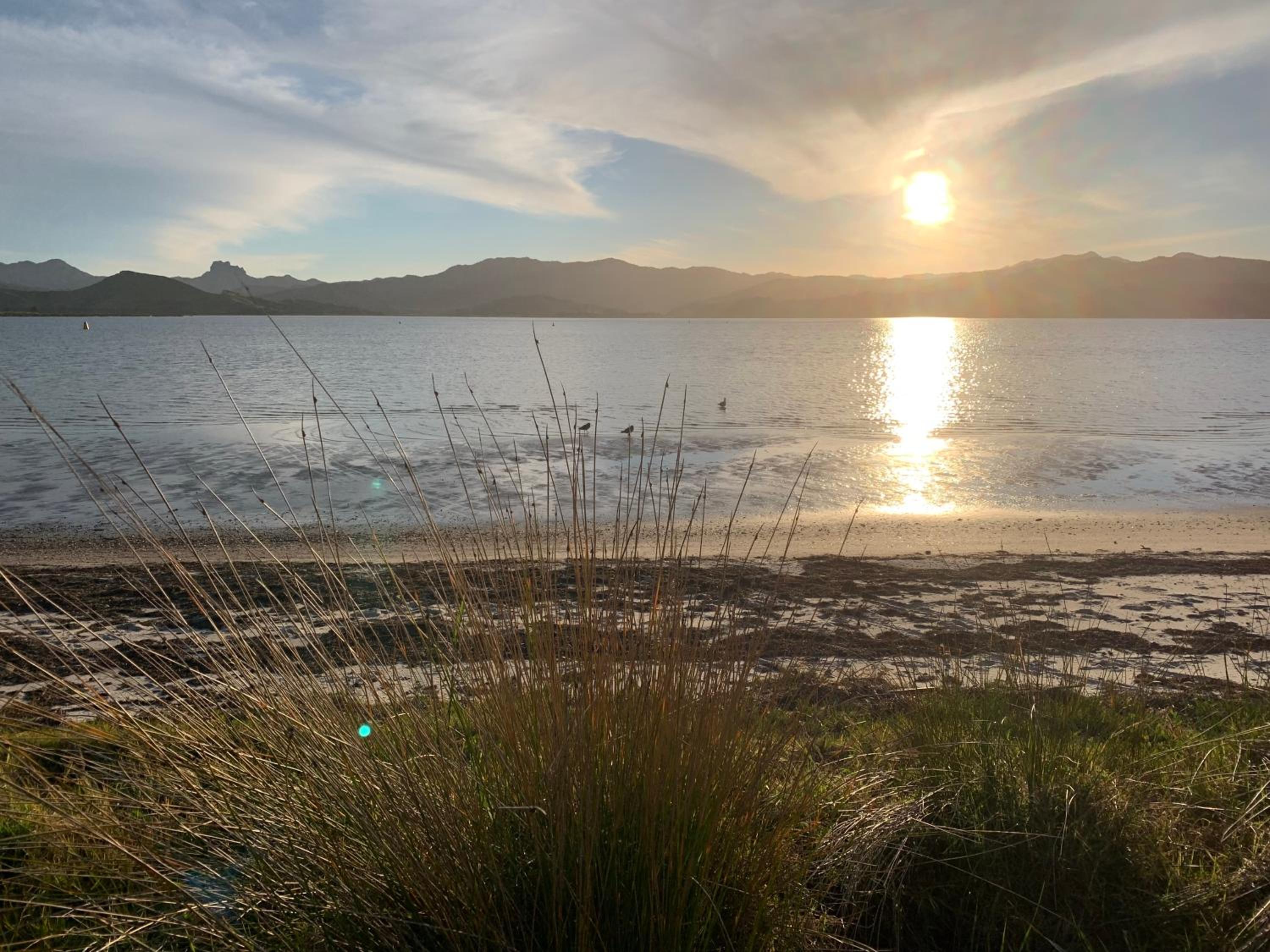 The Matarangi B & B view 3